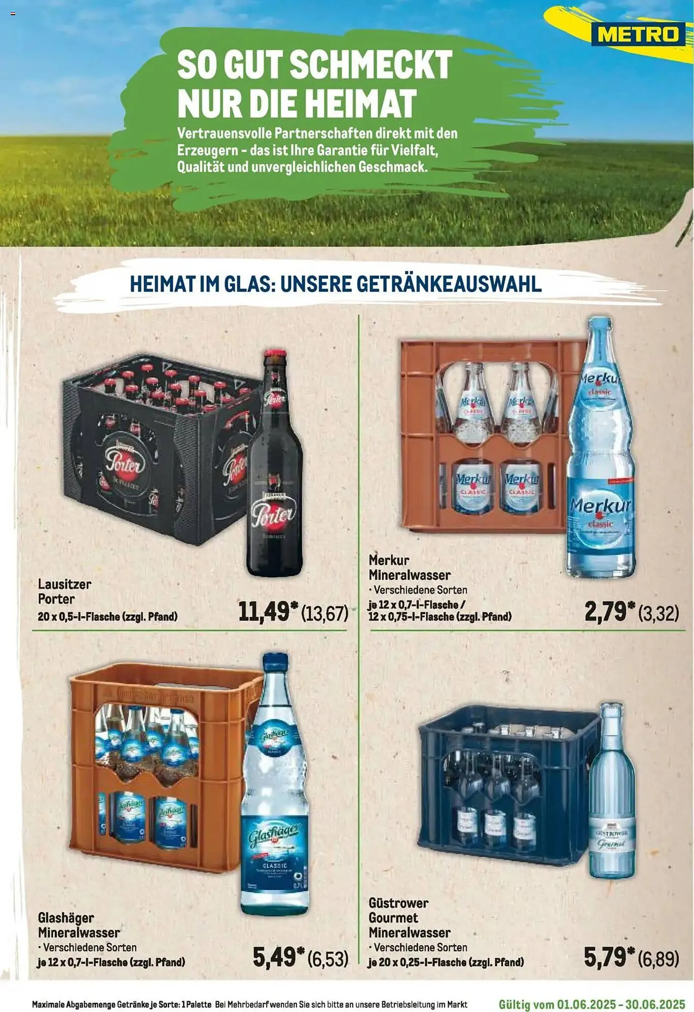 METRO Prospekt von 1. Juni bis 30. Juni 2025 - Prospekt seite 313