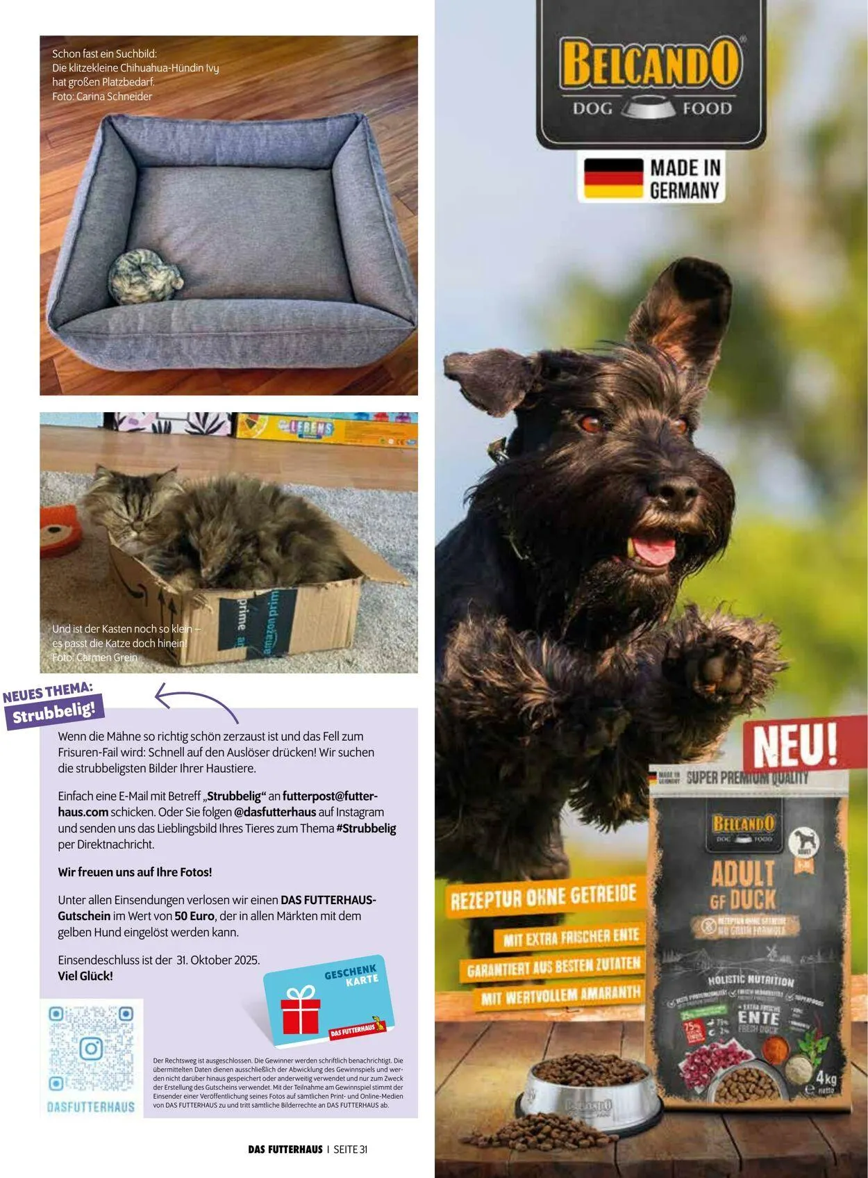 Futterhaus Aktueller Prospekt von 1. Oktober bis 31. Oktober 2025 - Prospekt seite 31