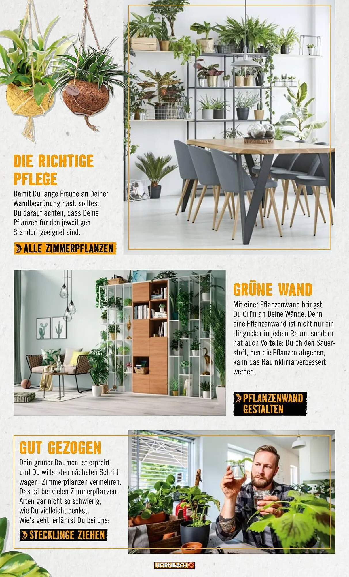 Hornbach Prospekt von 1. Januar bis 31. März 2025 - Prospekt seite 51