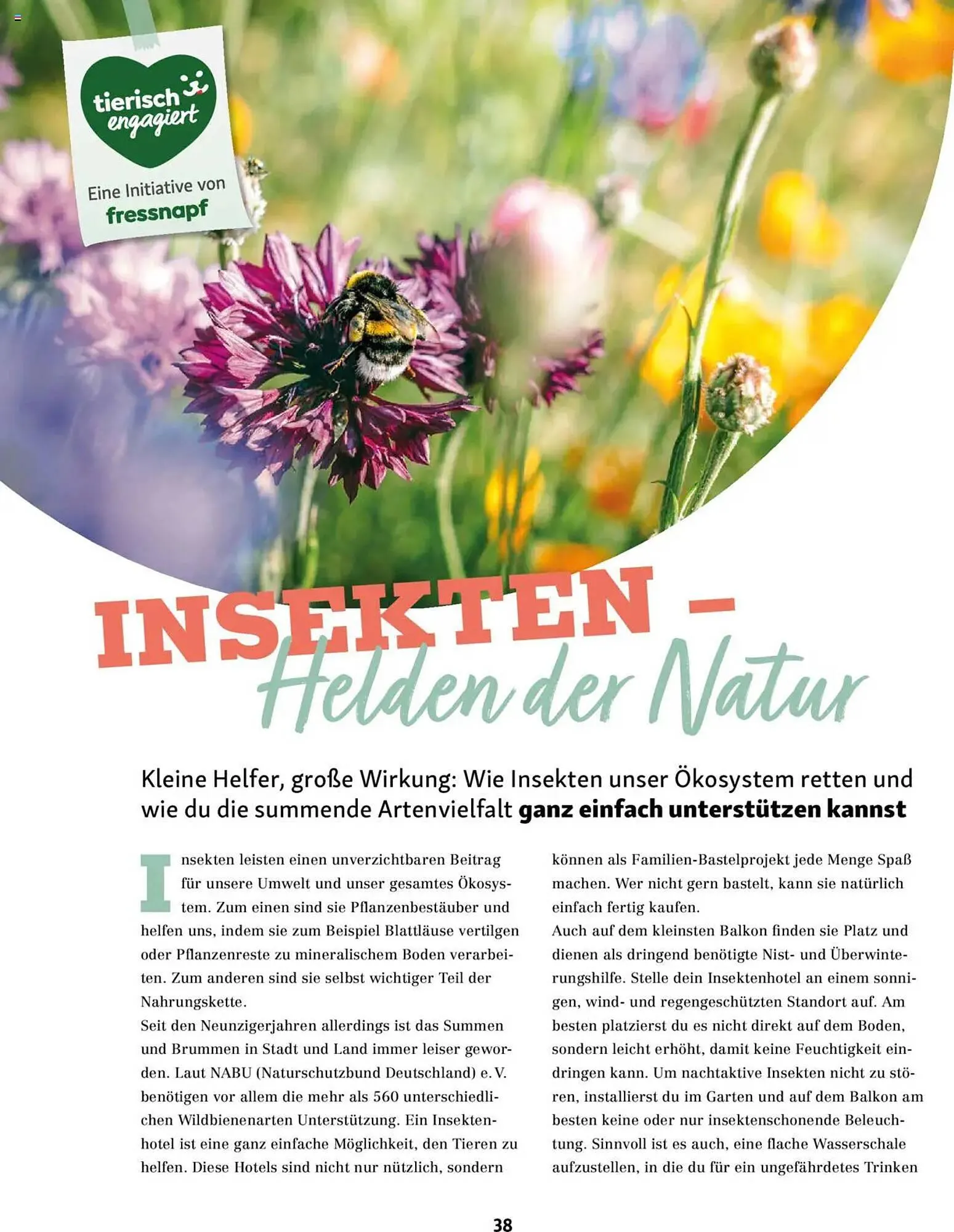 Fressnapf Prospekt von 1. Mai bis 30. Juni 2025 - Prospekt seite 38