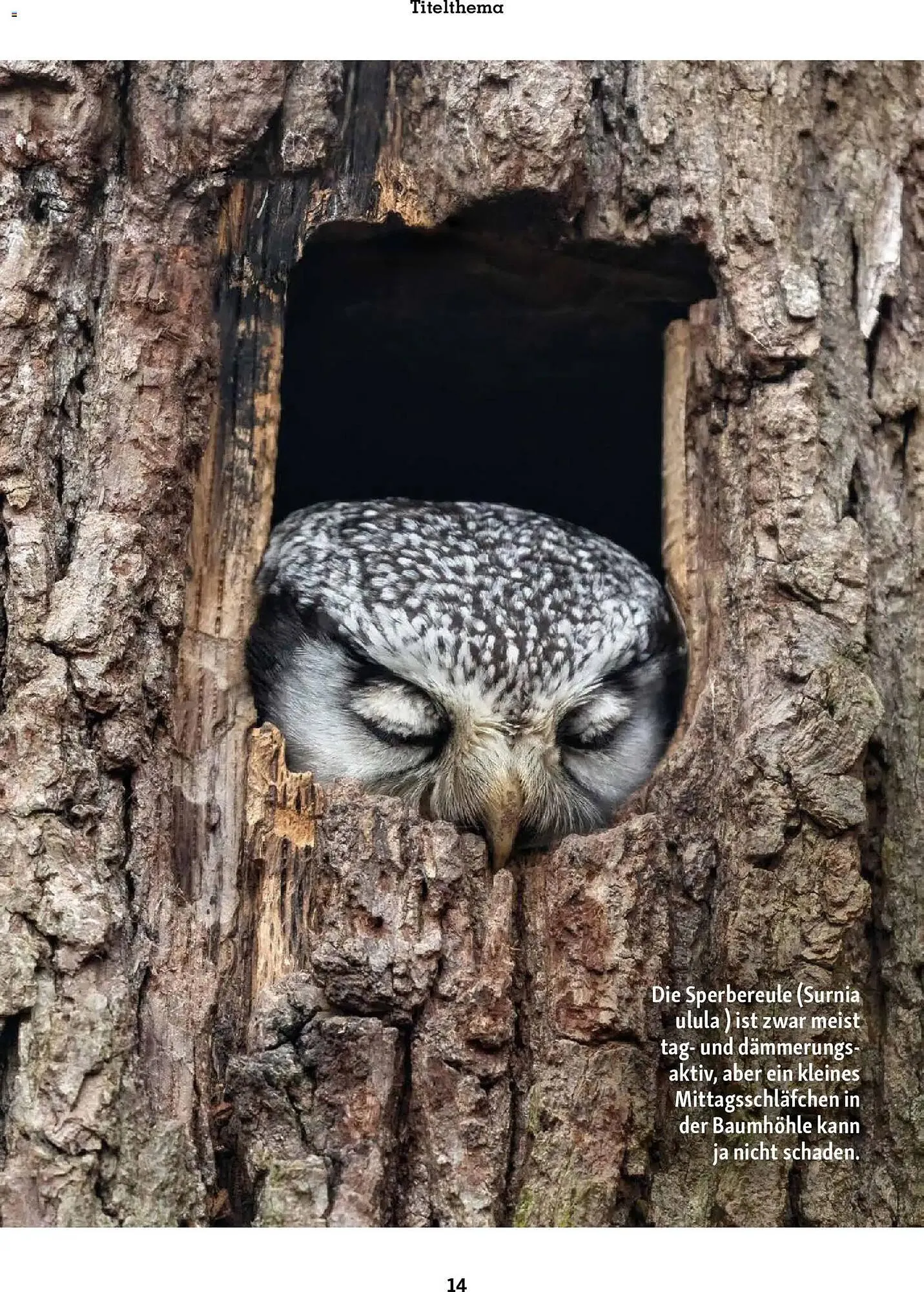 Fressnapf Magazin von 1. November bis 31. Dezember 2025 - Prospekt seite 14