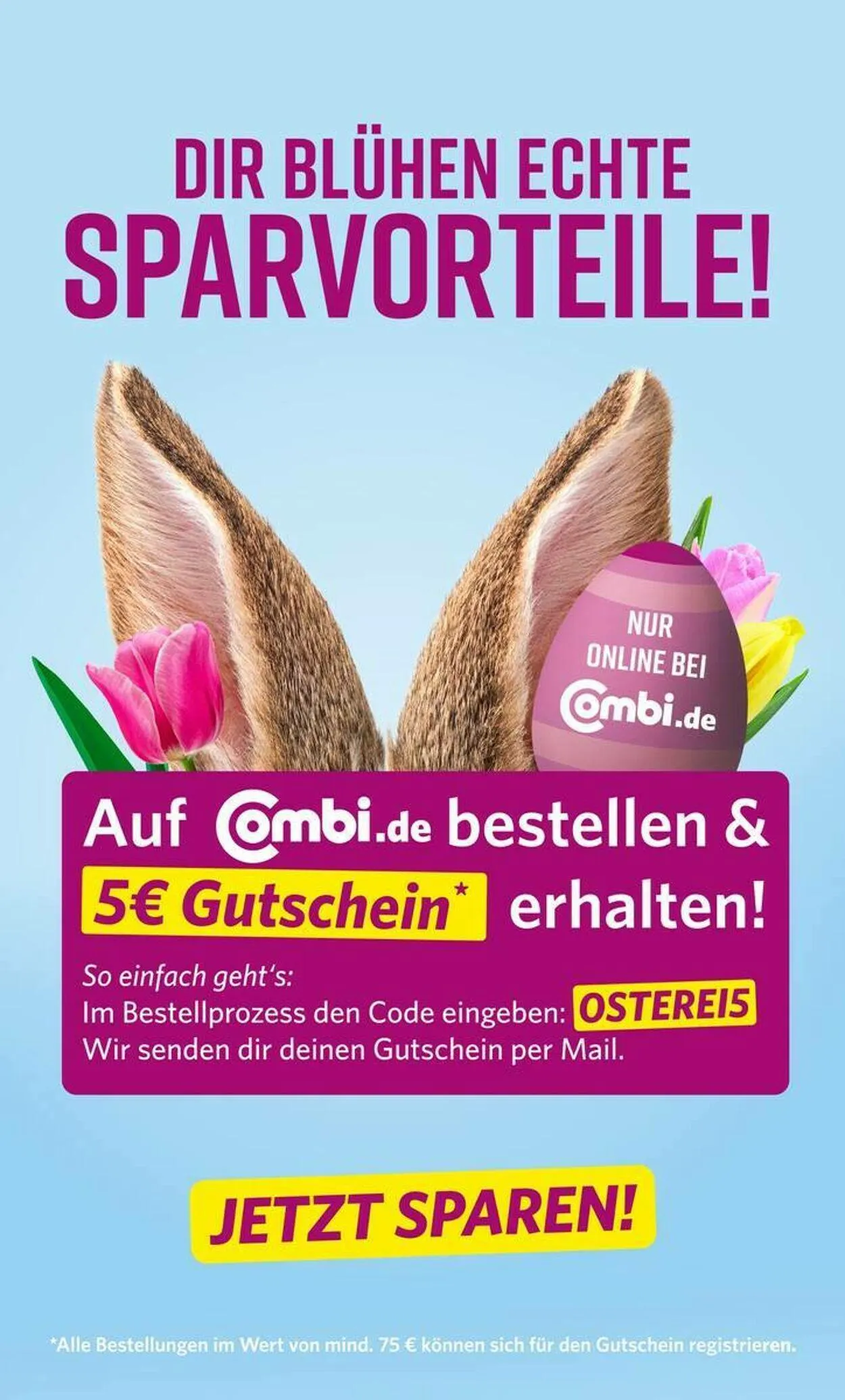 Combi von 24. März bis 29. März 2025 - Prospekt seite 15