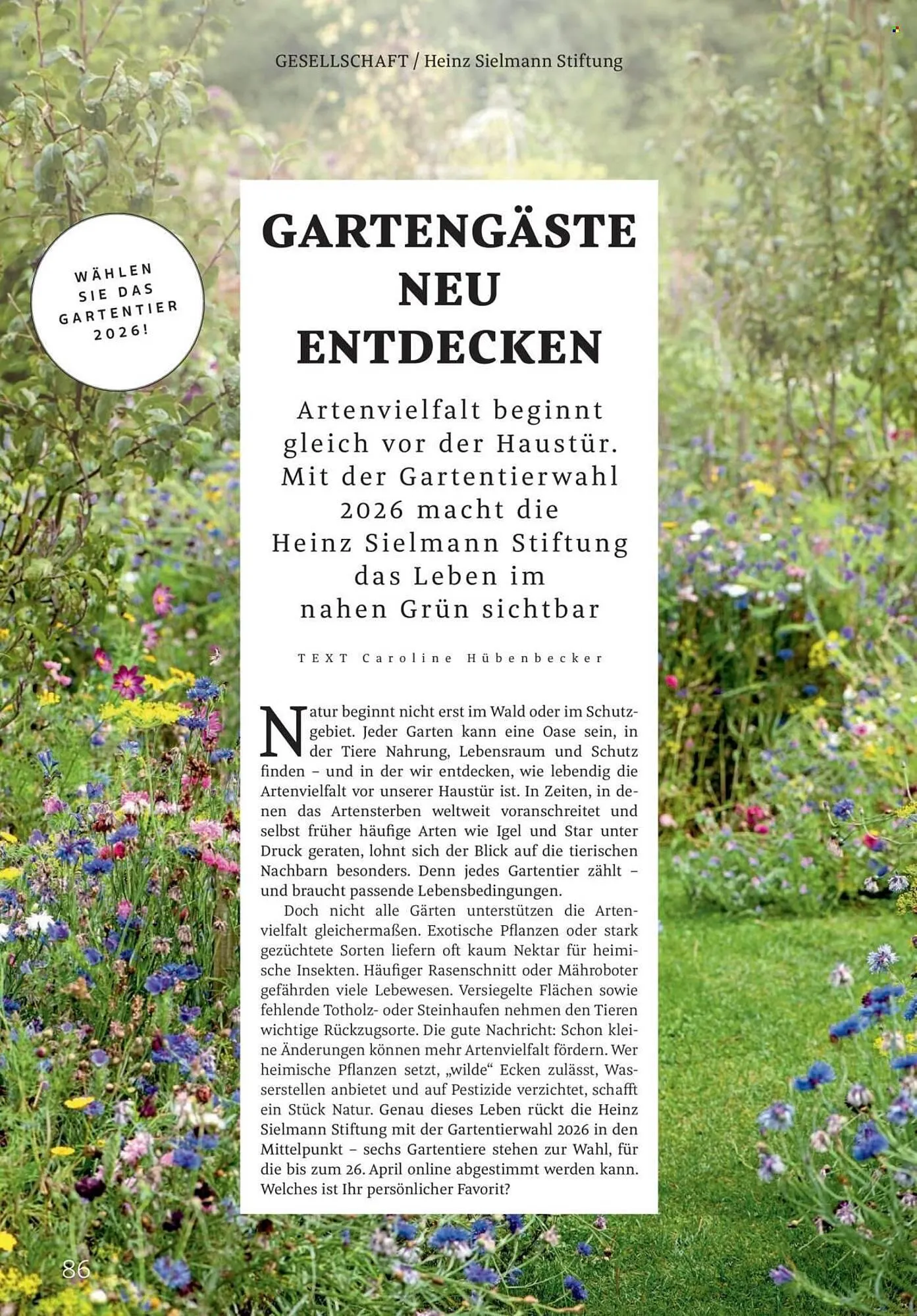 Rossmann Magazin von 1. März bis 31. März 2026 - Prospekt seite 86