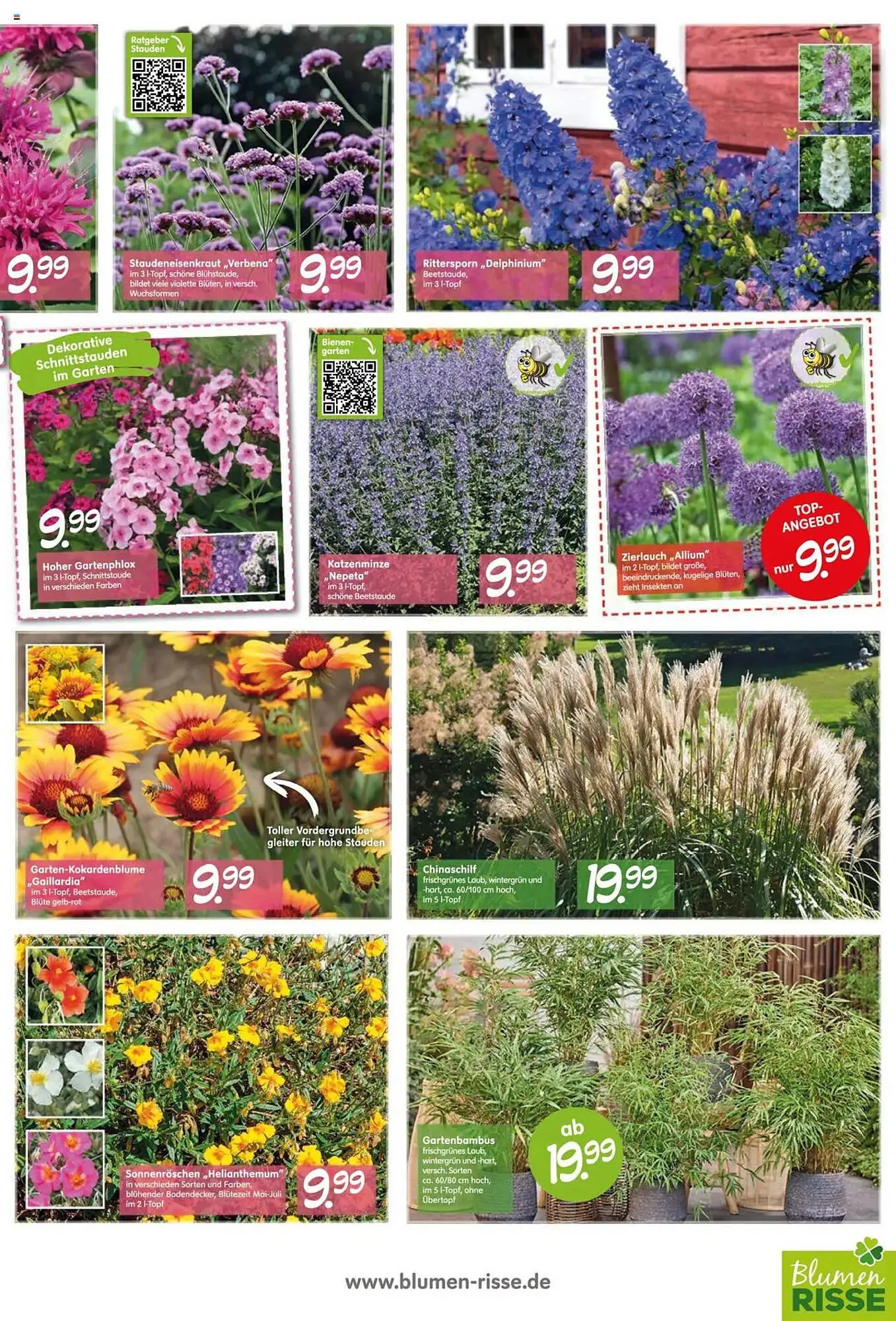 Blumen Risse Prospekt von 28. Mai bis 9. Juni 2025 - Prospekt seite 5