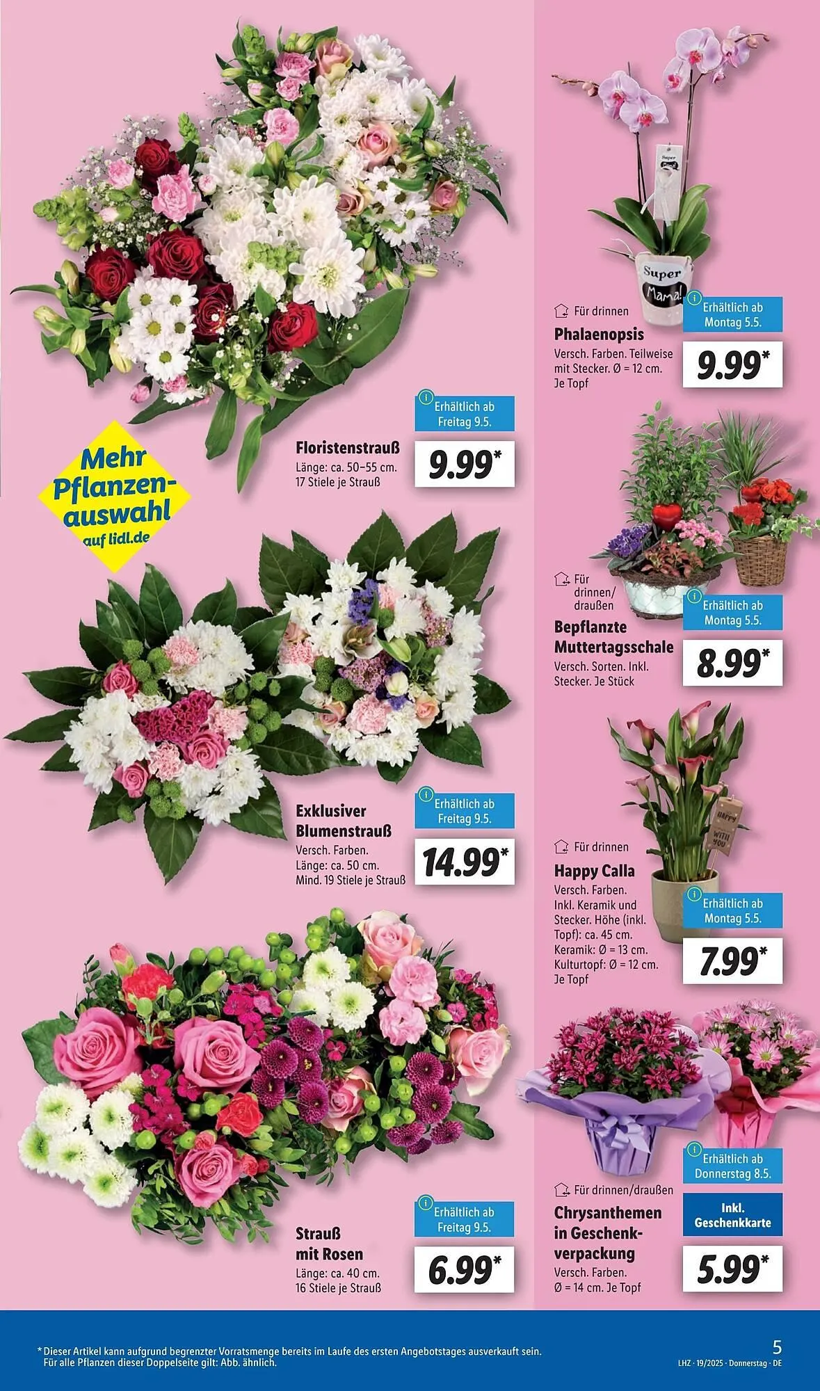 Lidl Prospekt von 5. Mai bis 11. Mai 2025 - Prospekt seite 5