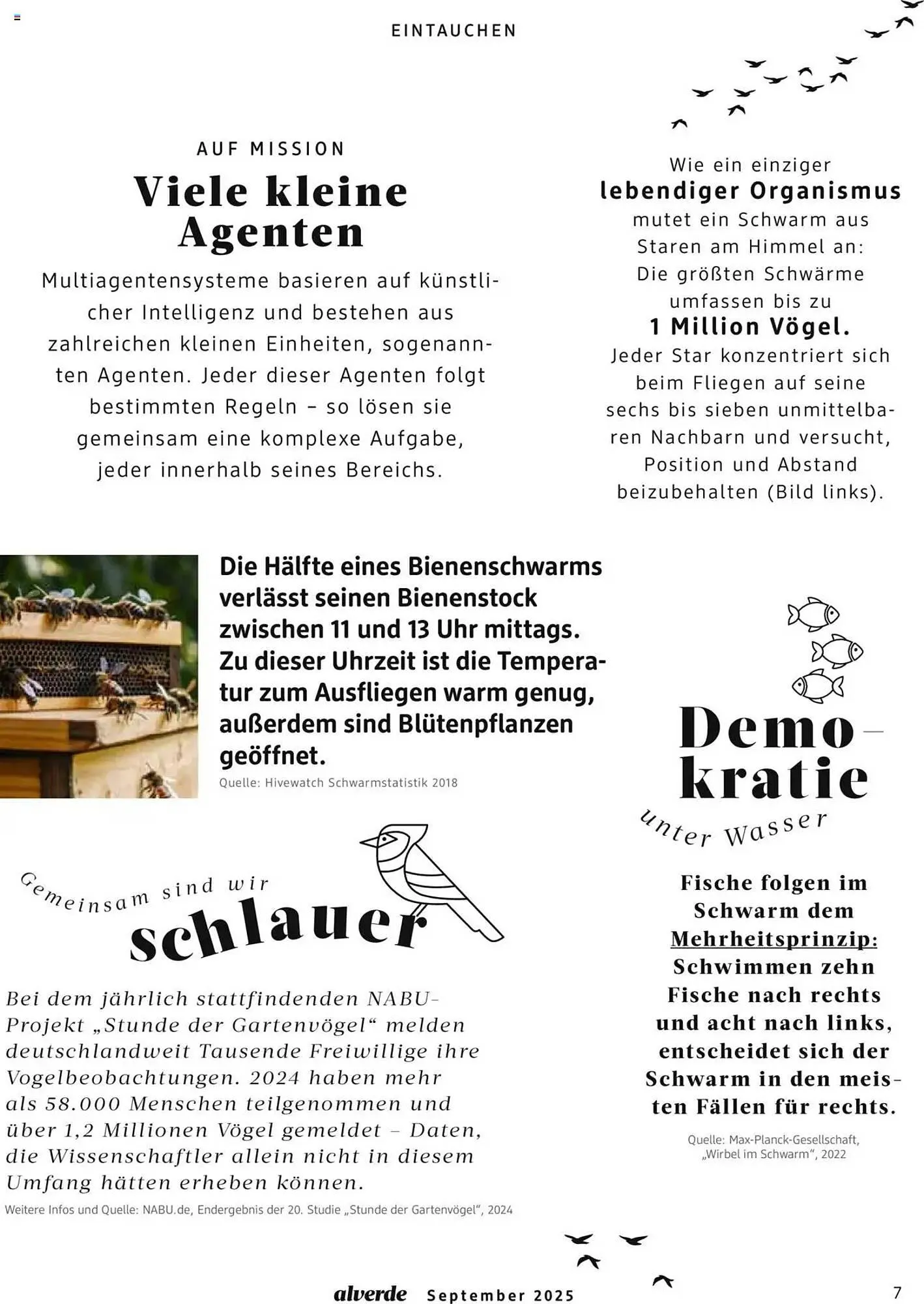 dm drogerie Magazin von 1. September bis 30. September 2025 - Prospekt seite 7