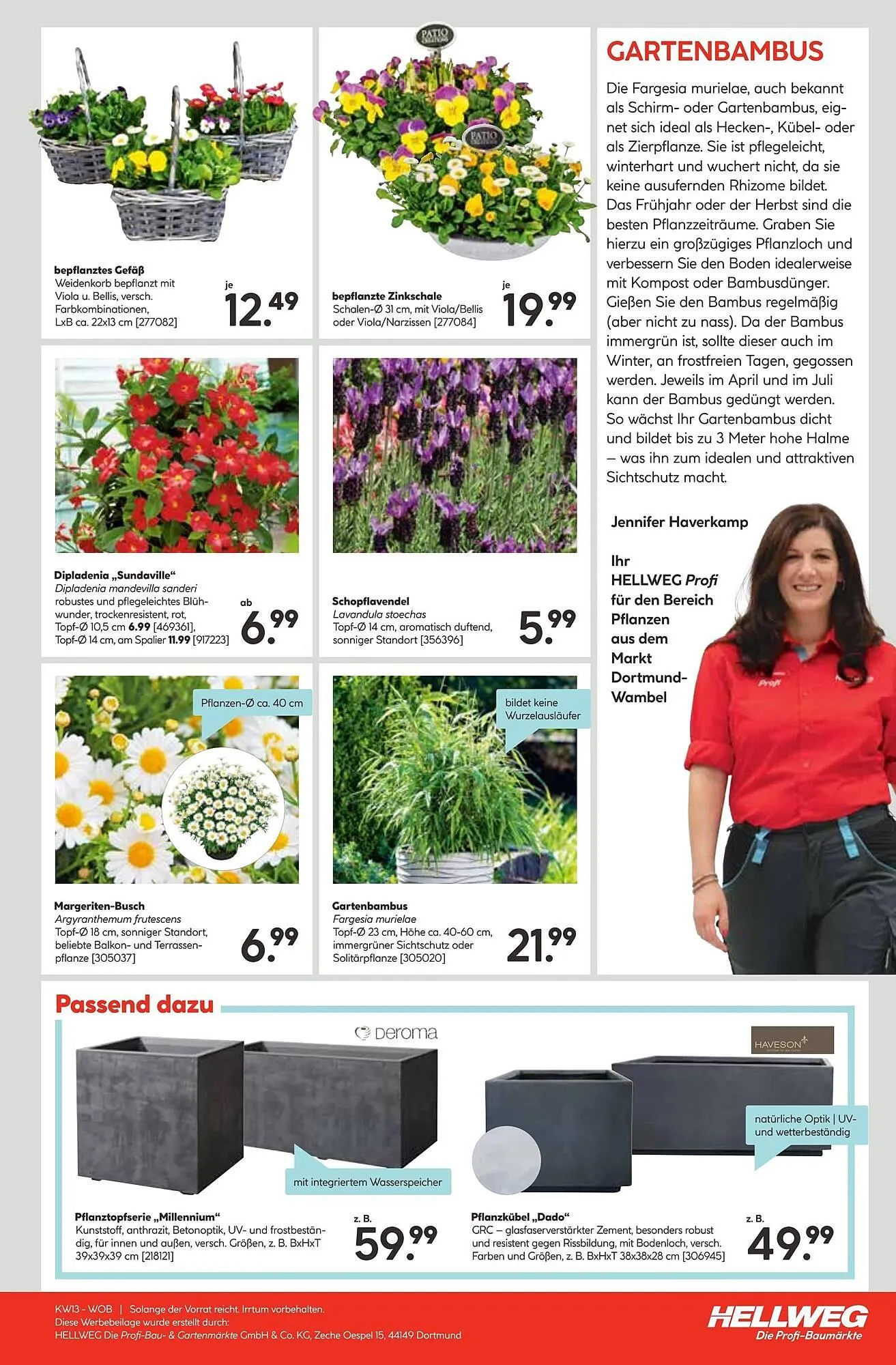 Hellweg Prospekt von 24. März bis 30. März 2025 - Prospekt seite 31