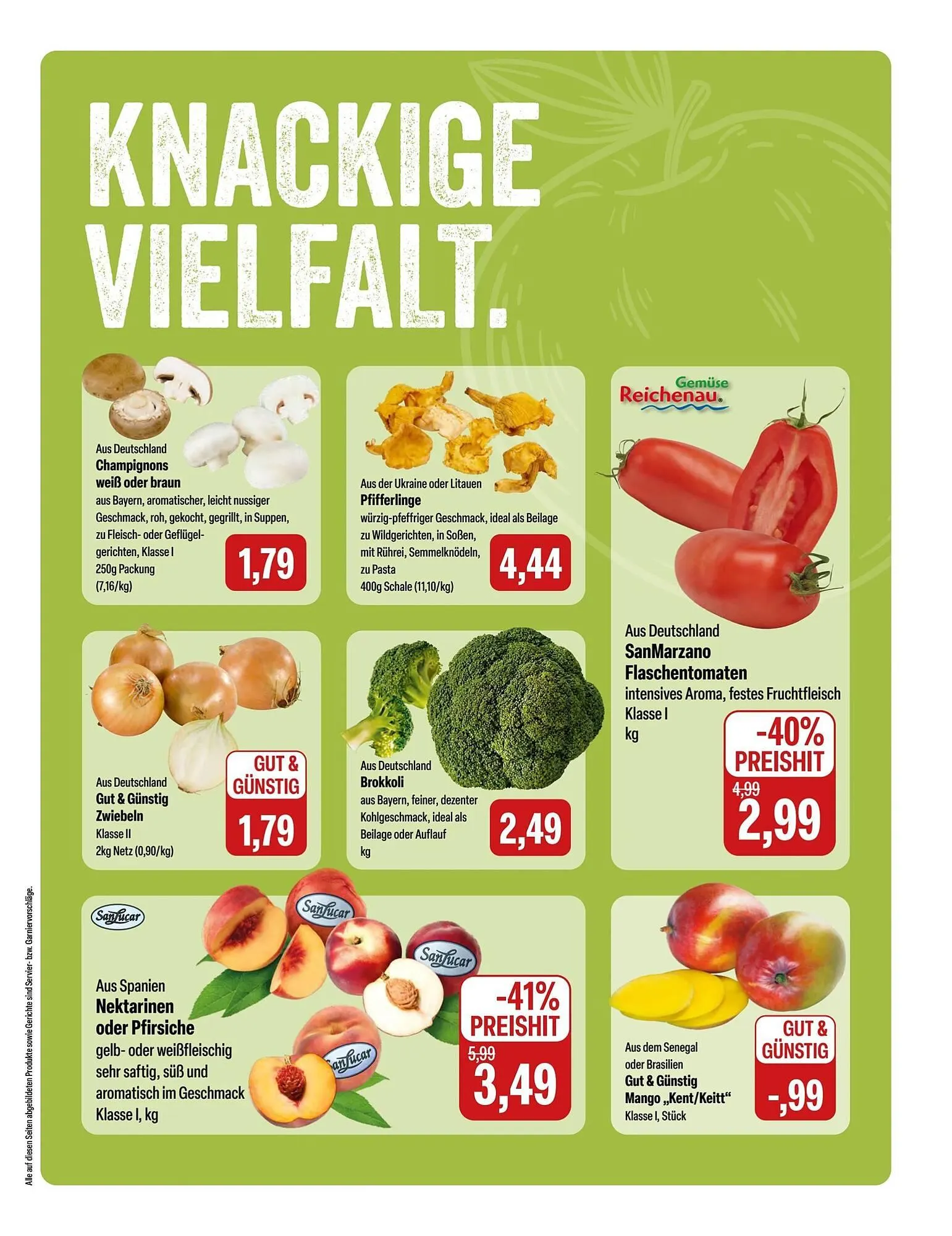 Feneberg Prospekt von 14. August bis 17. August 2025 - Prospekt seite 5