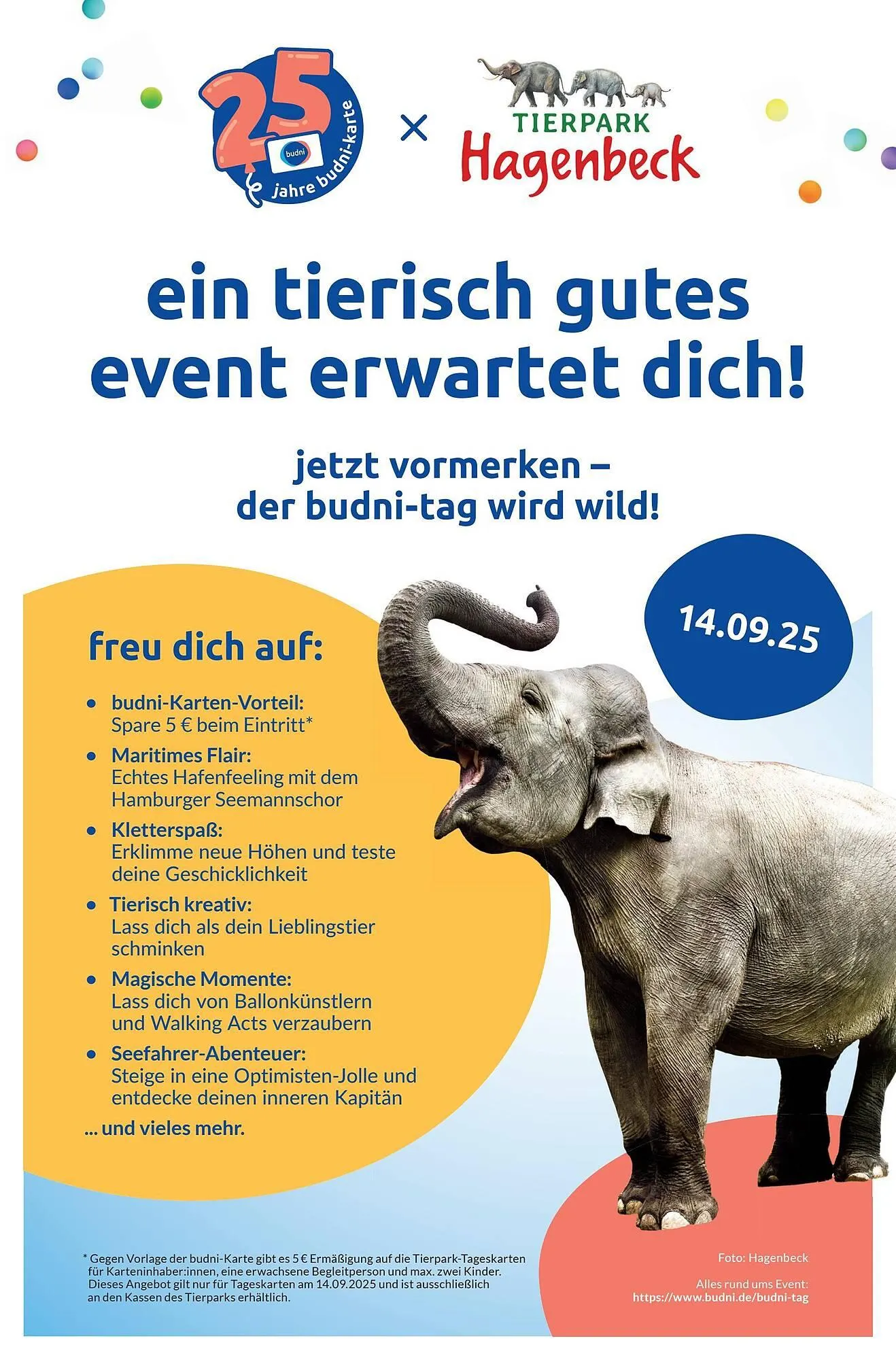 Budni Prospekt von 4. August bis 9. August 2025 - Prospekt seite 9