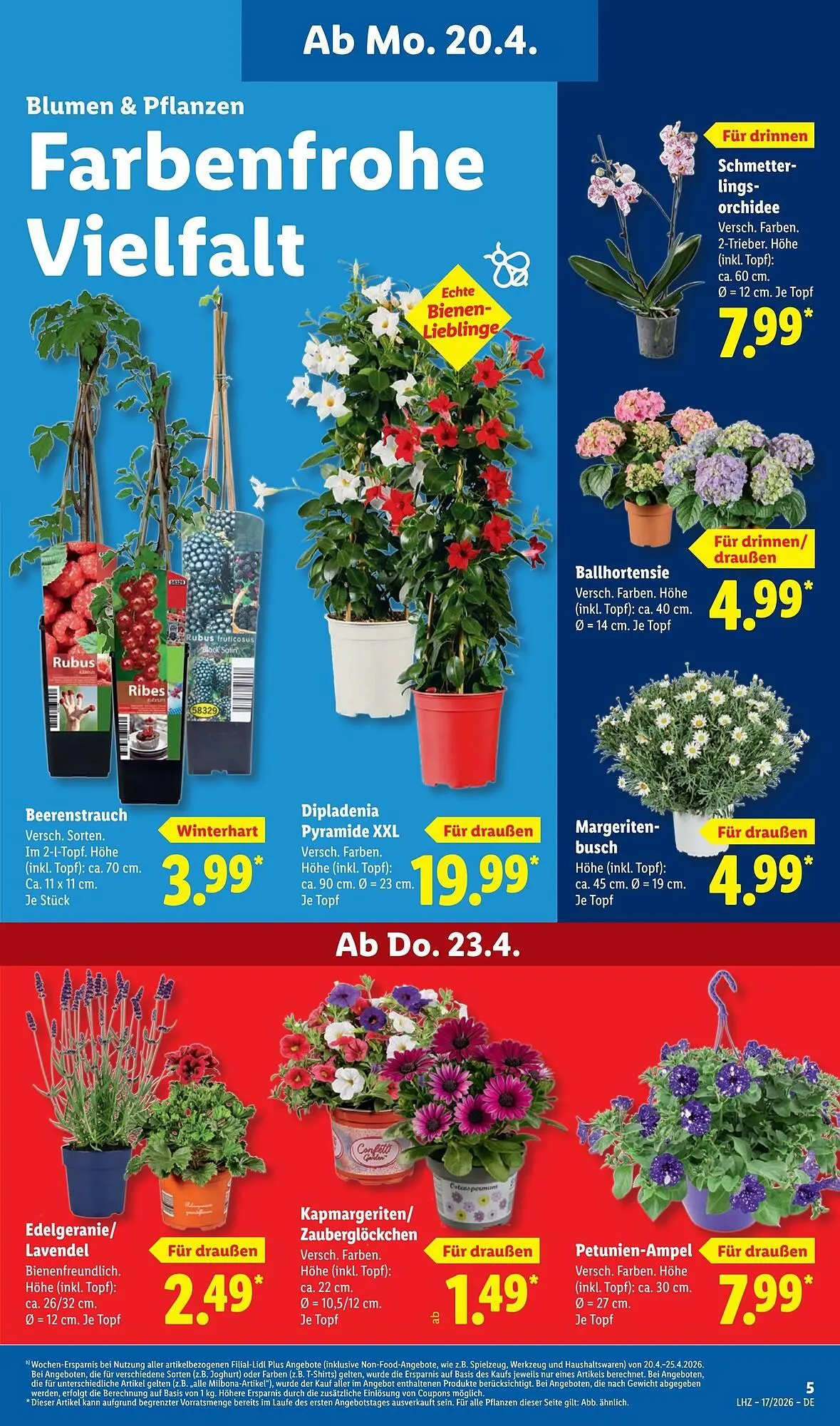 Lidl Prospekt von 20. April bis 26. April 2026 - Prospekt seite 11