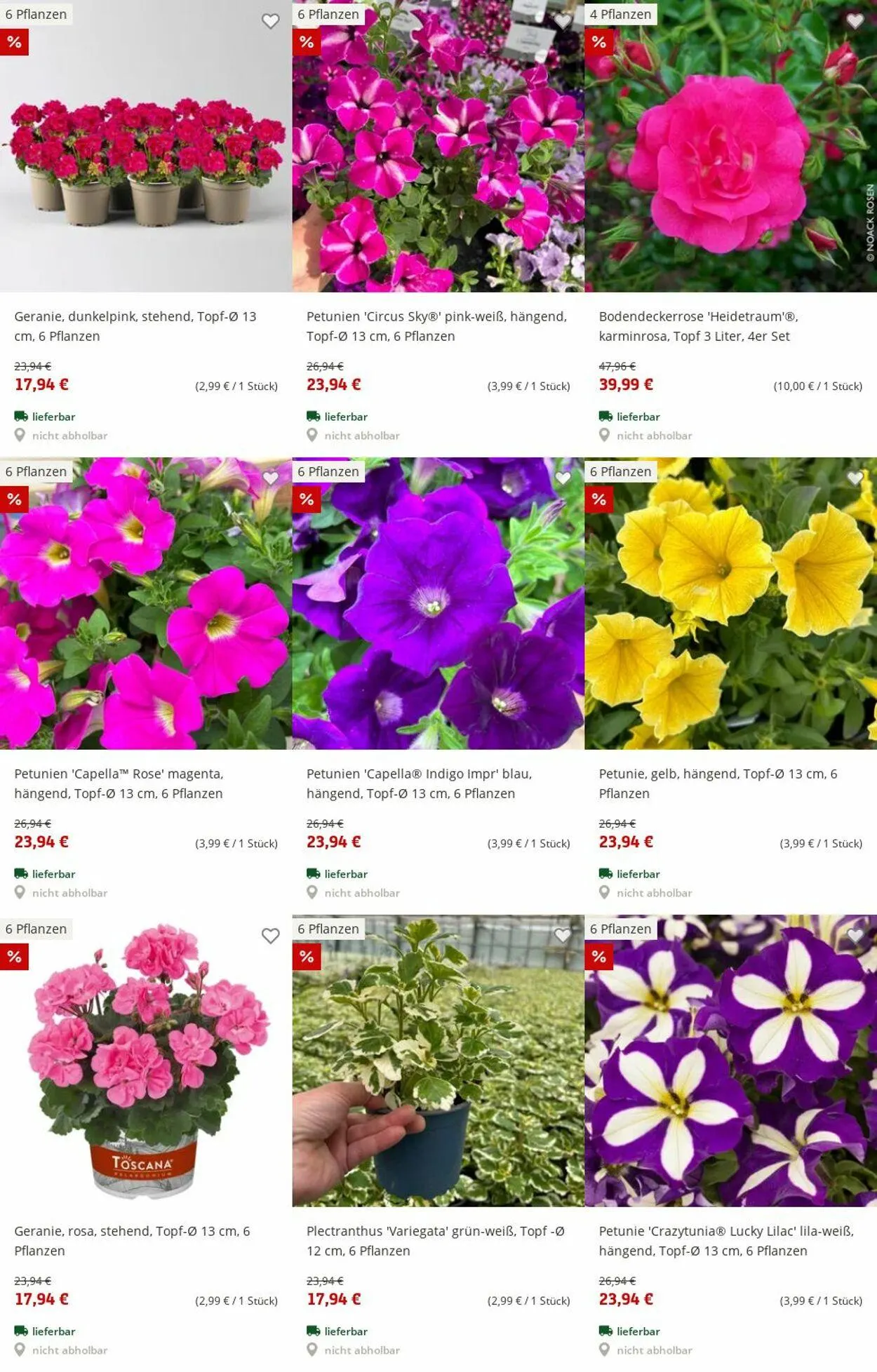 Pflanzen-Kölle Aktueller Prospekt von 30. Juni bis 9. Juli 2025 - Prospekt seite 3