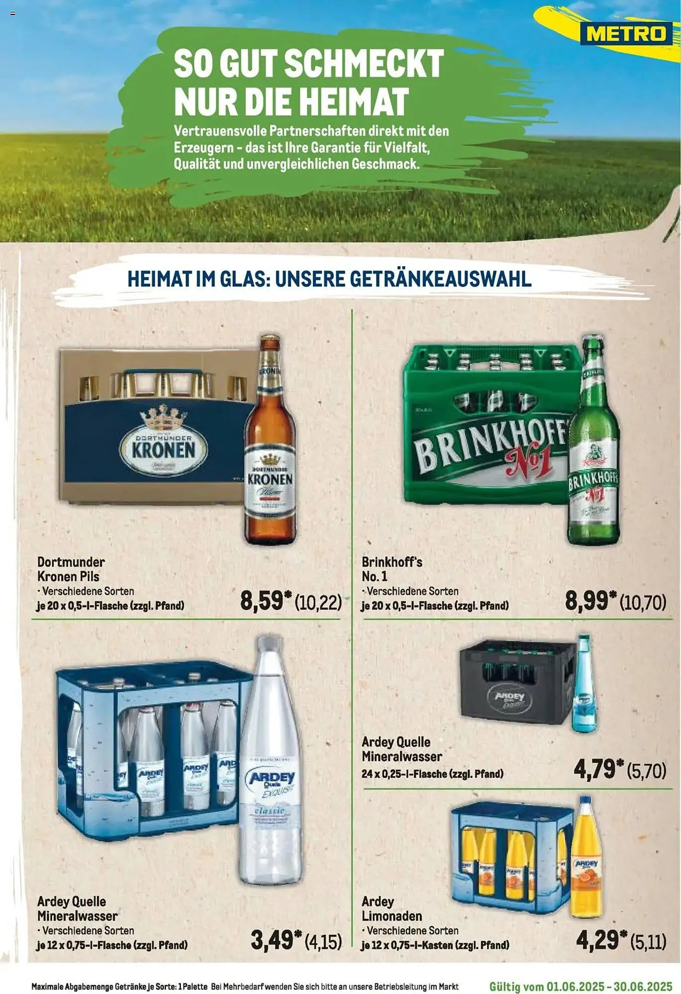 METRO Prospekt von 1. Juni bis 30. Juni 2025 - Prospekt seite 291