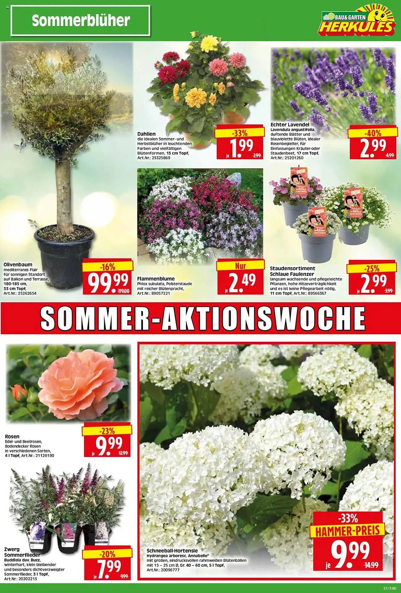 Herkules Baumarkt Prospekt von 30. Juni bis 5. Juli 2025 - Prospekt seite 3