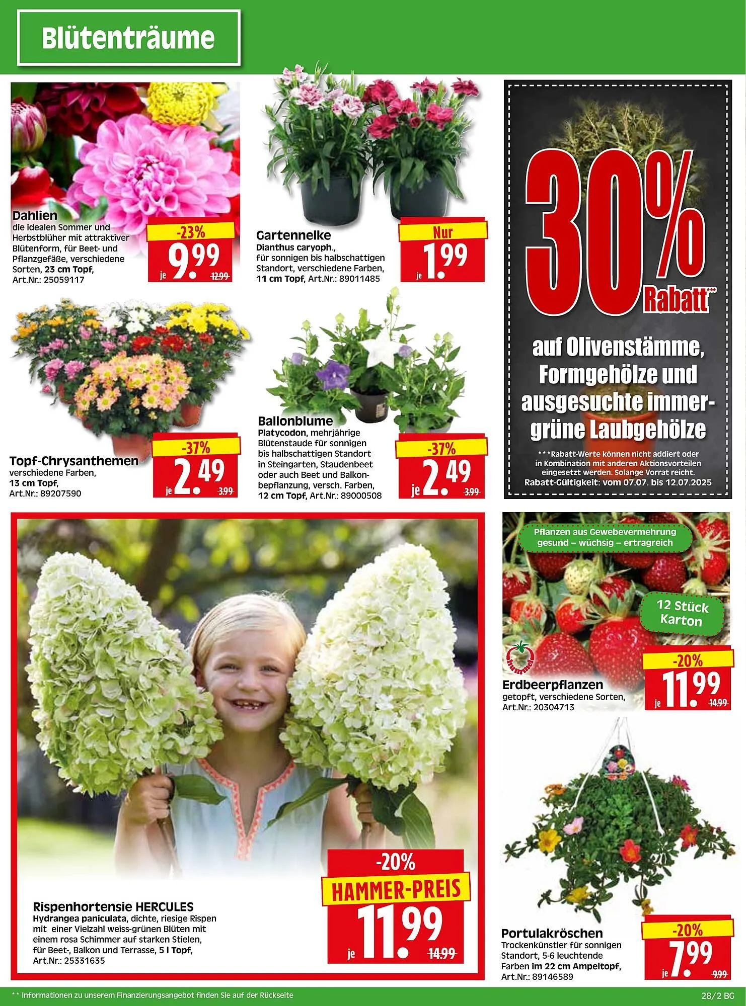 Herkules Baumarkt Prospekt von 7. Juli bis 12. Juli 2025 - Prospekt seite 2