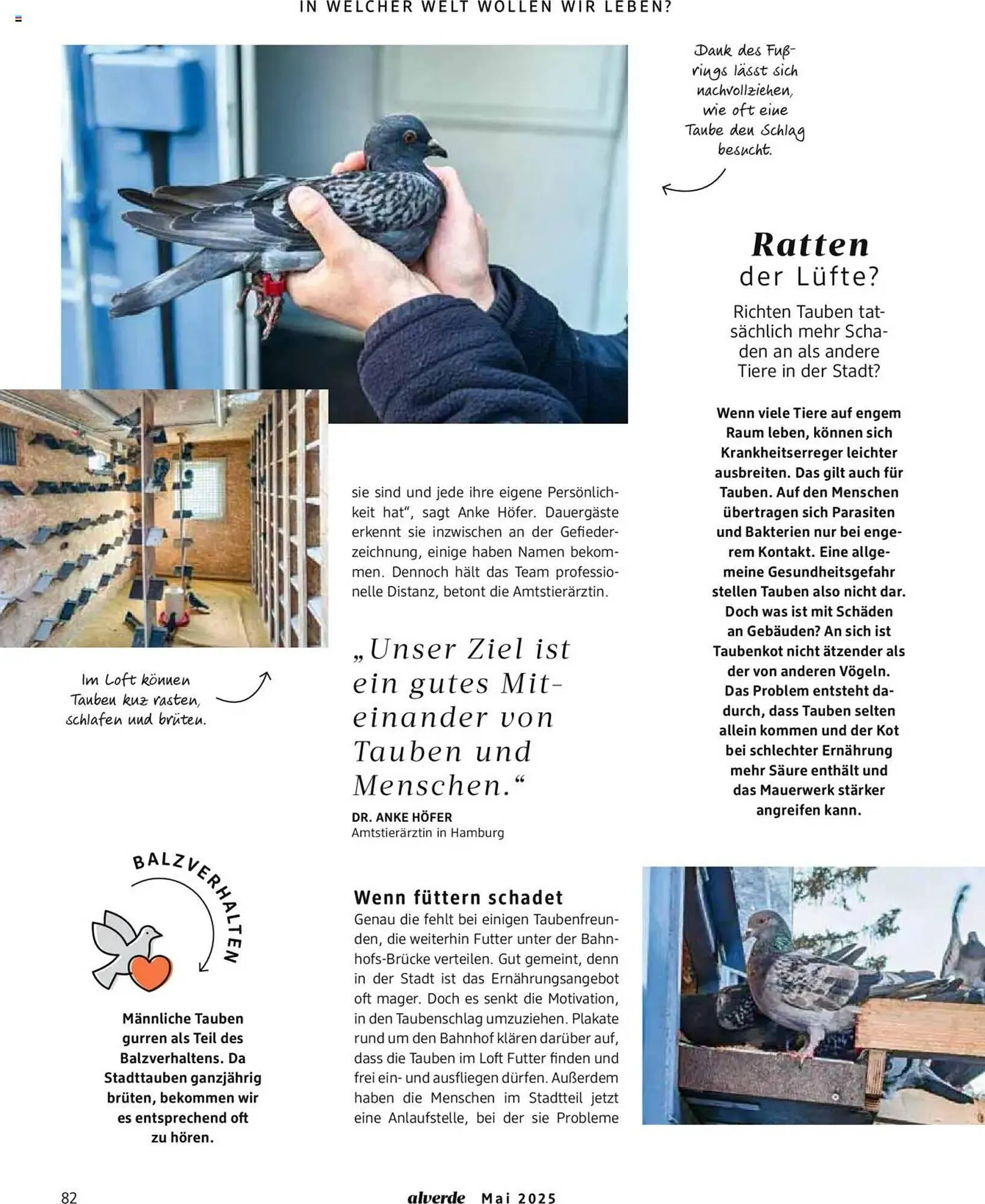 dm drogerie Prospekt von 1. Mai bis 31. Mai 2025 - Prospekt seite 82