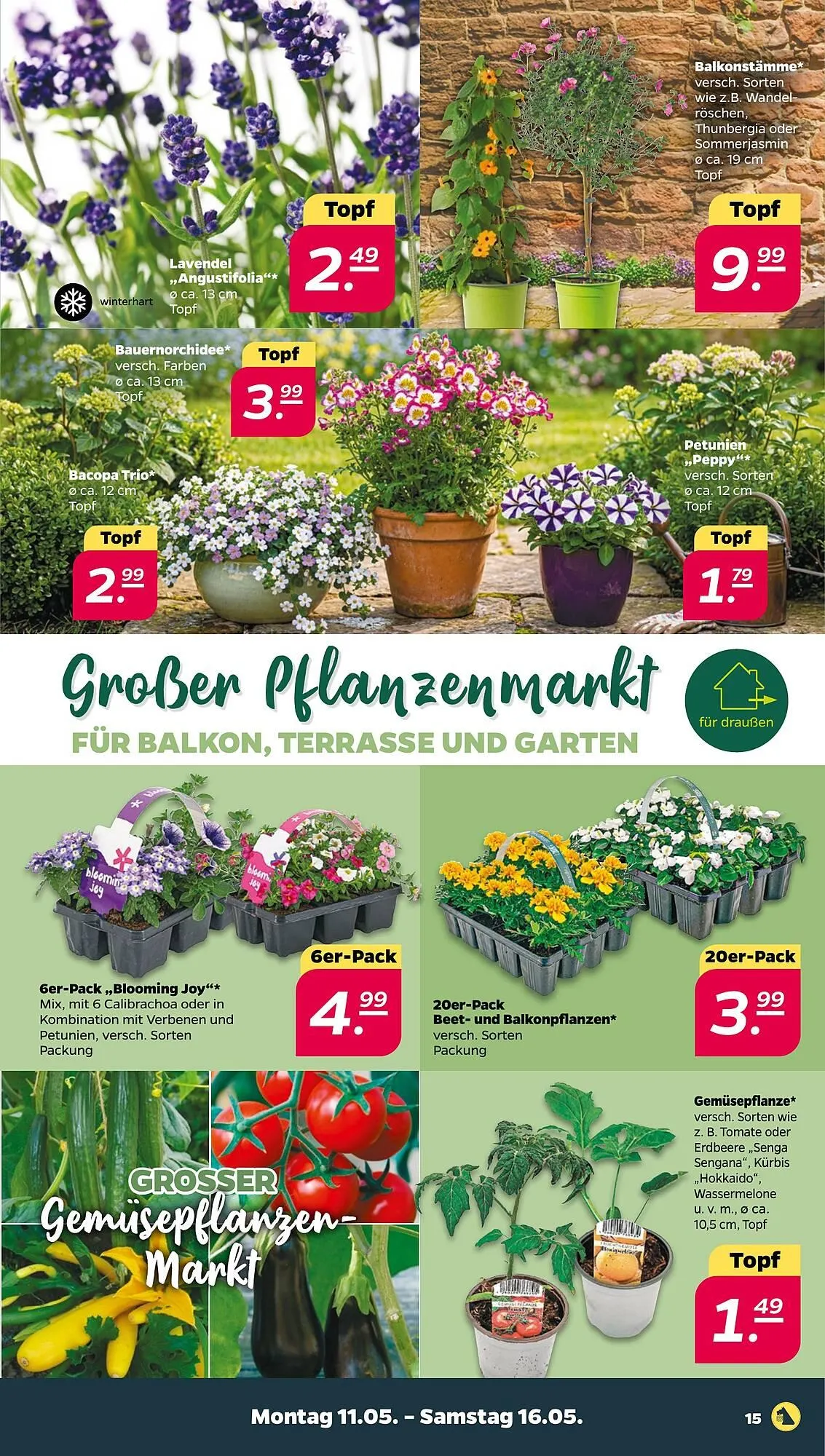 NETTO Prospekt von 11. Mai bis 16. Mai 2026 - Prospekt seite 15