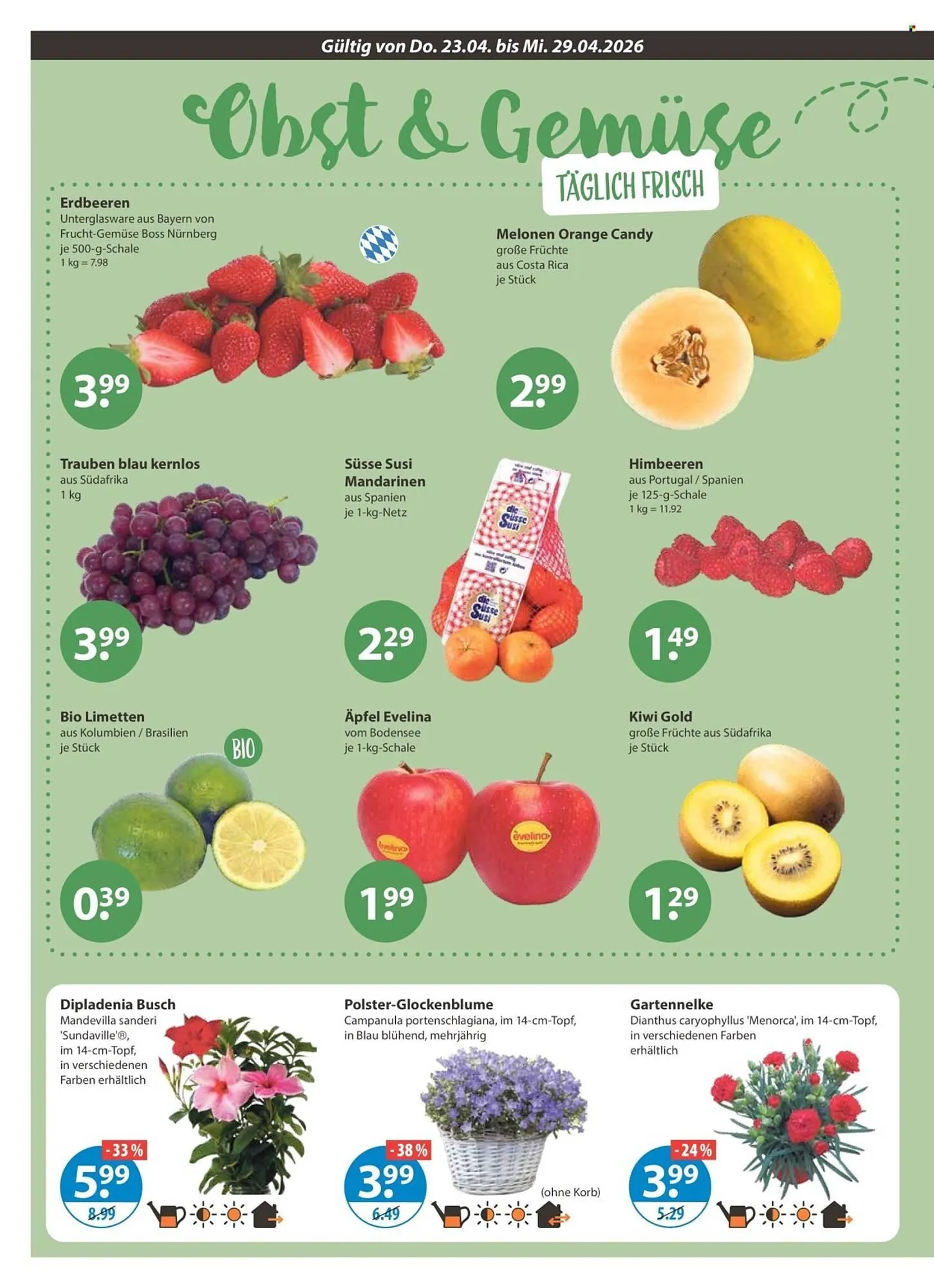 V Markt Prospekt von 23. April bis 29. April 2026 - Prospekt seite 4