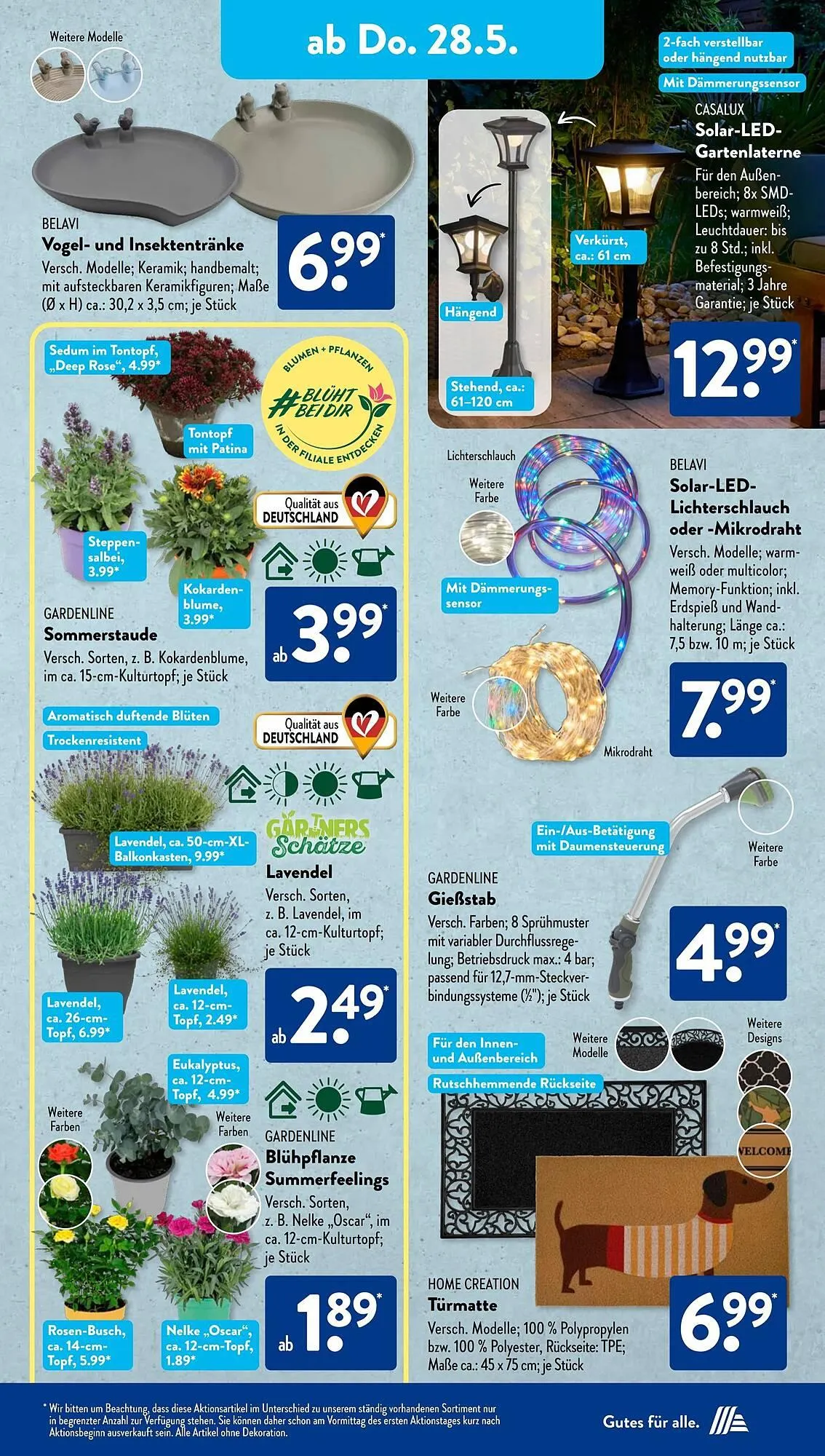 Aldi Süd Prospekt von 26. Mai bis 31. Mai 2026 - Prospekt seite 8