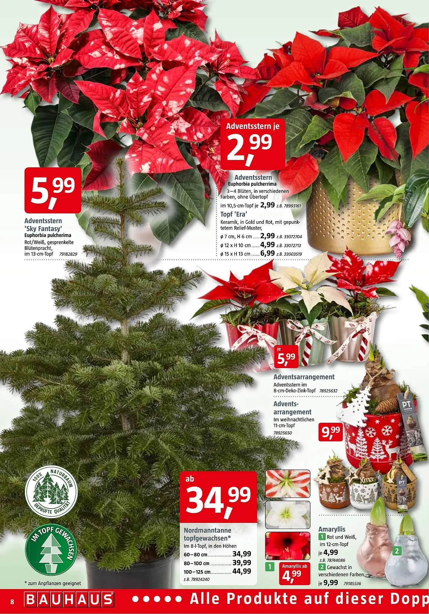 Bauhaus Prospekt von 1. November bis 29. November 2025 - Prospekt seite 8