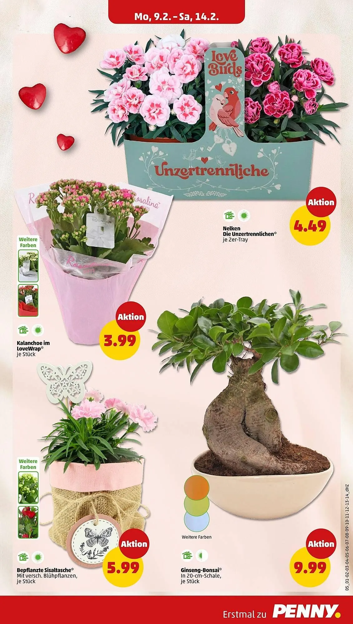 PENNY Prospekt von 9. Februar bis 15. Februar 2026 - Prospekt seite 5