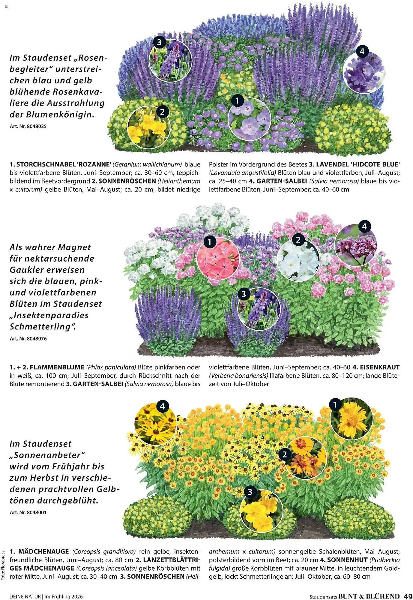 Dehner Prospekt von 4. März bis 31. Mai 2026 - Prospekt seite 49