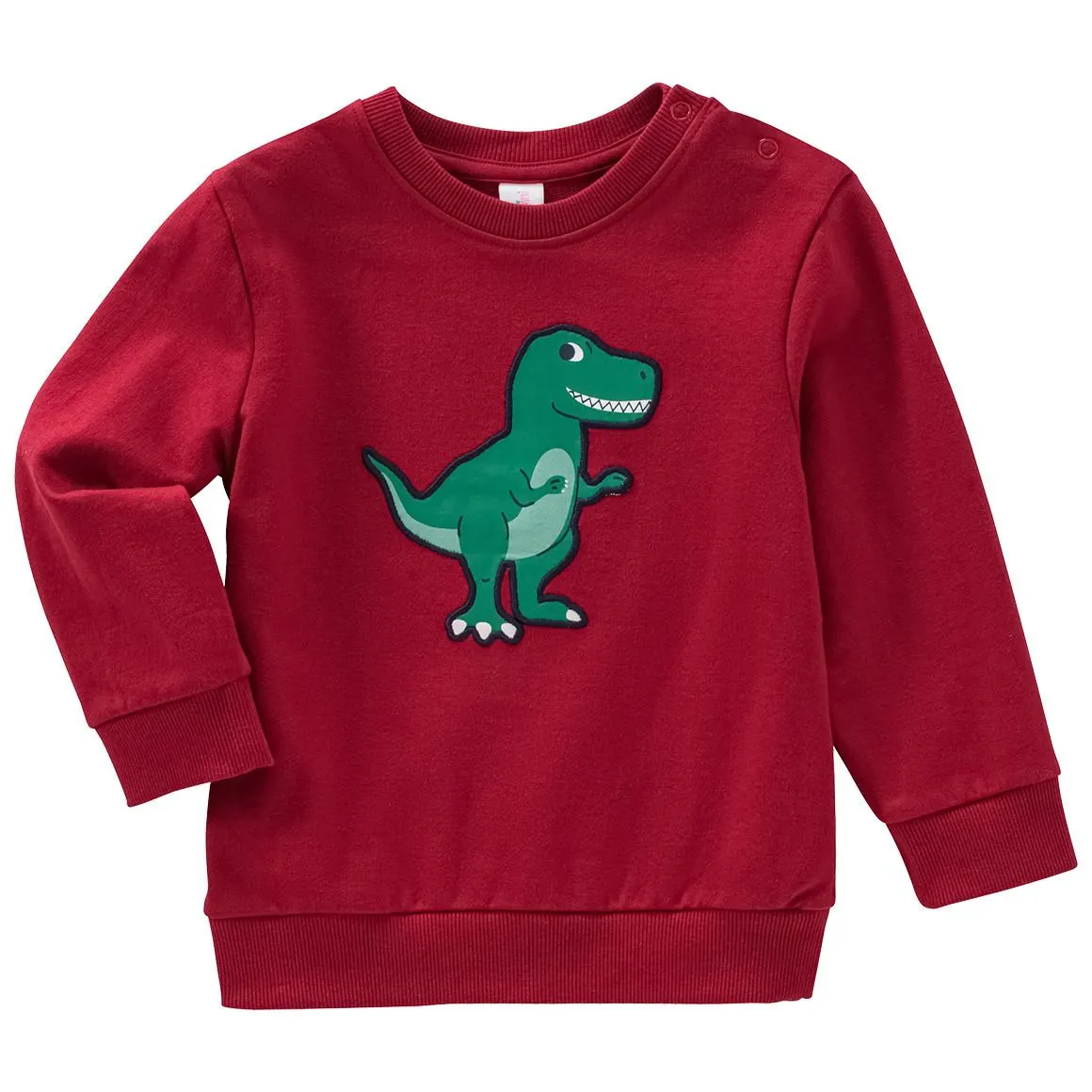 Baby Sweatshirt mit Dino-Applikation
