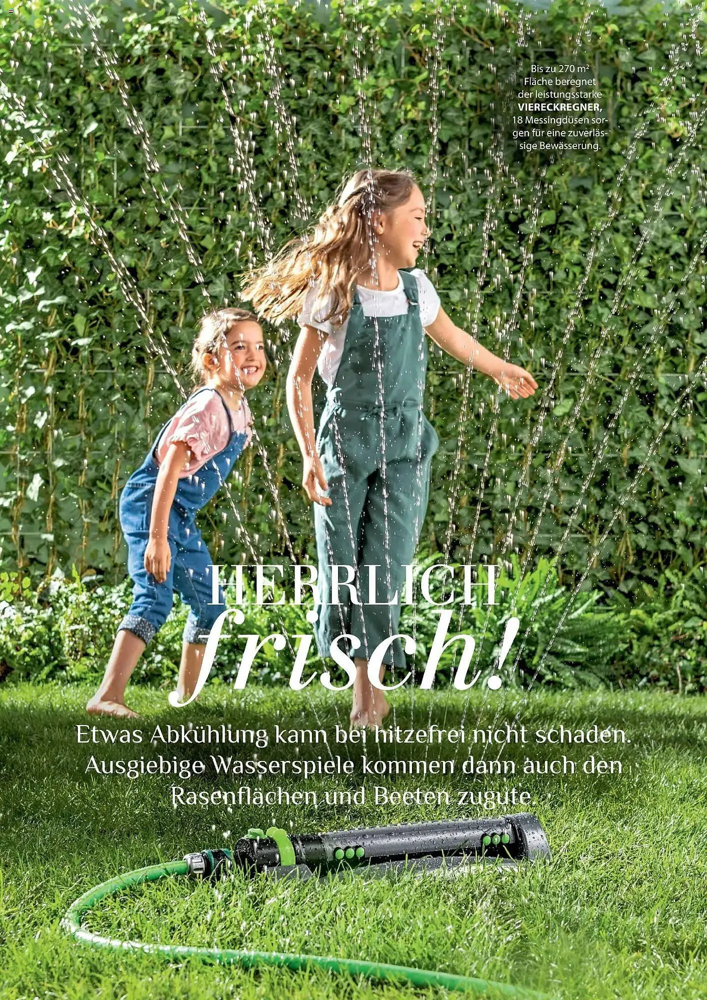 Dehner Prospekt von 17. April bis 31. August 2026 - Prospekt seite 62