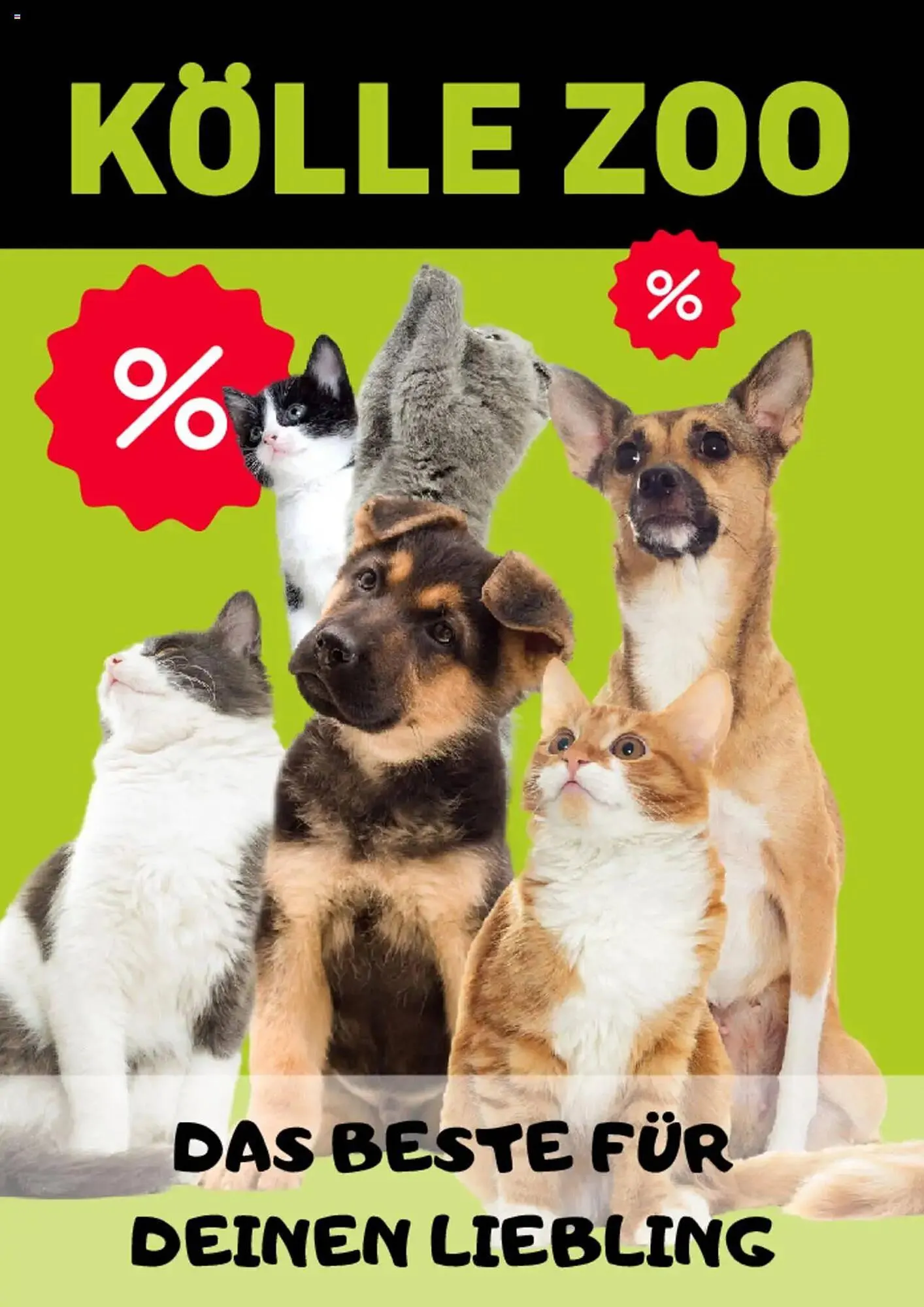 Kölle Zoo Prospekt - 1