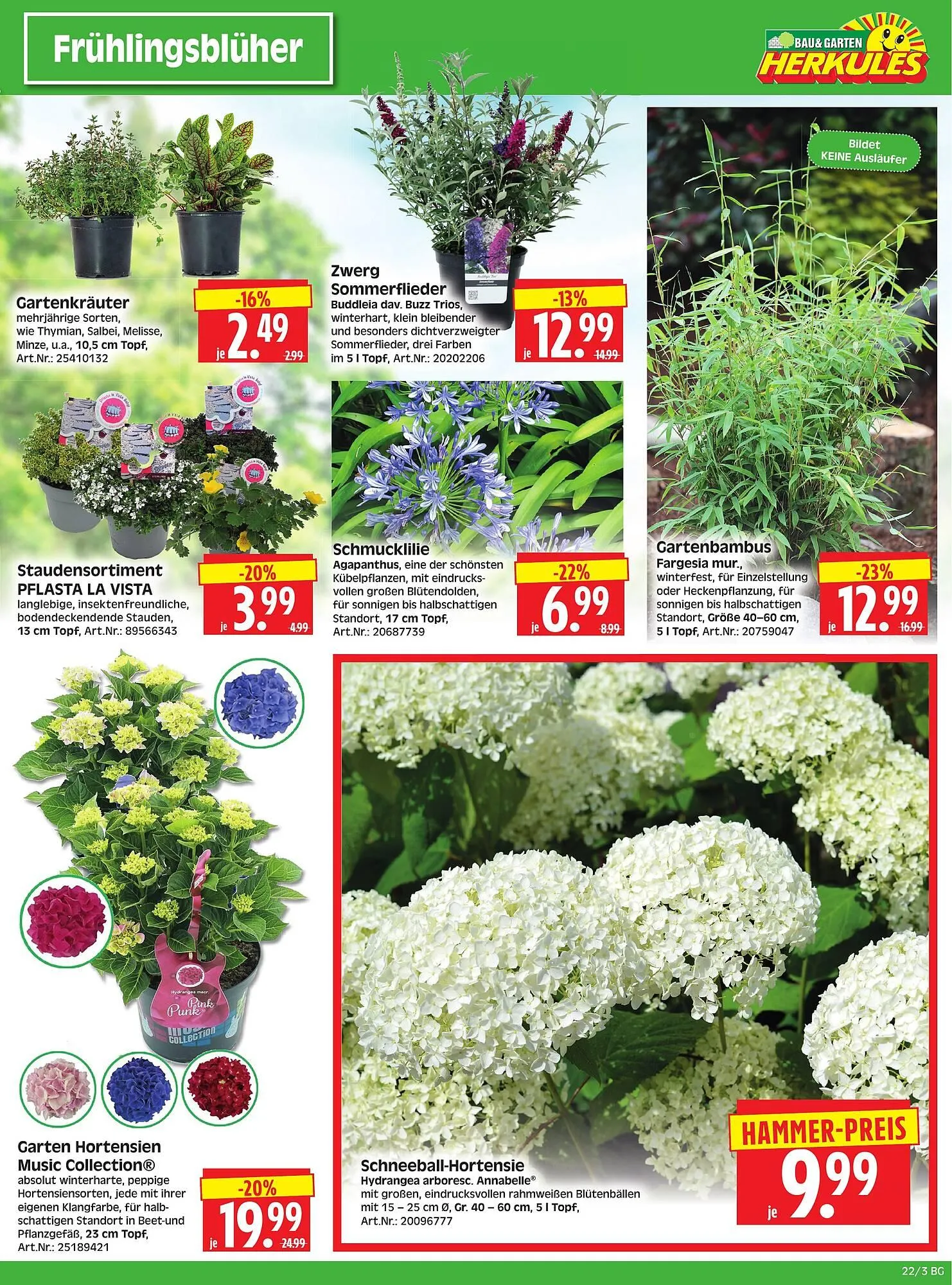 Herkules Baumarkt Prospekt von 26. Mai bis 31. Mai 2025 - Prospekt seite 3