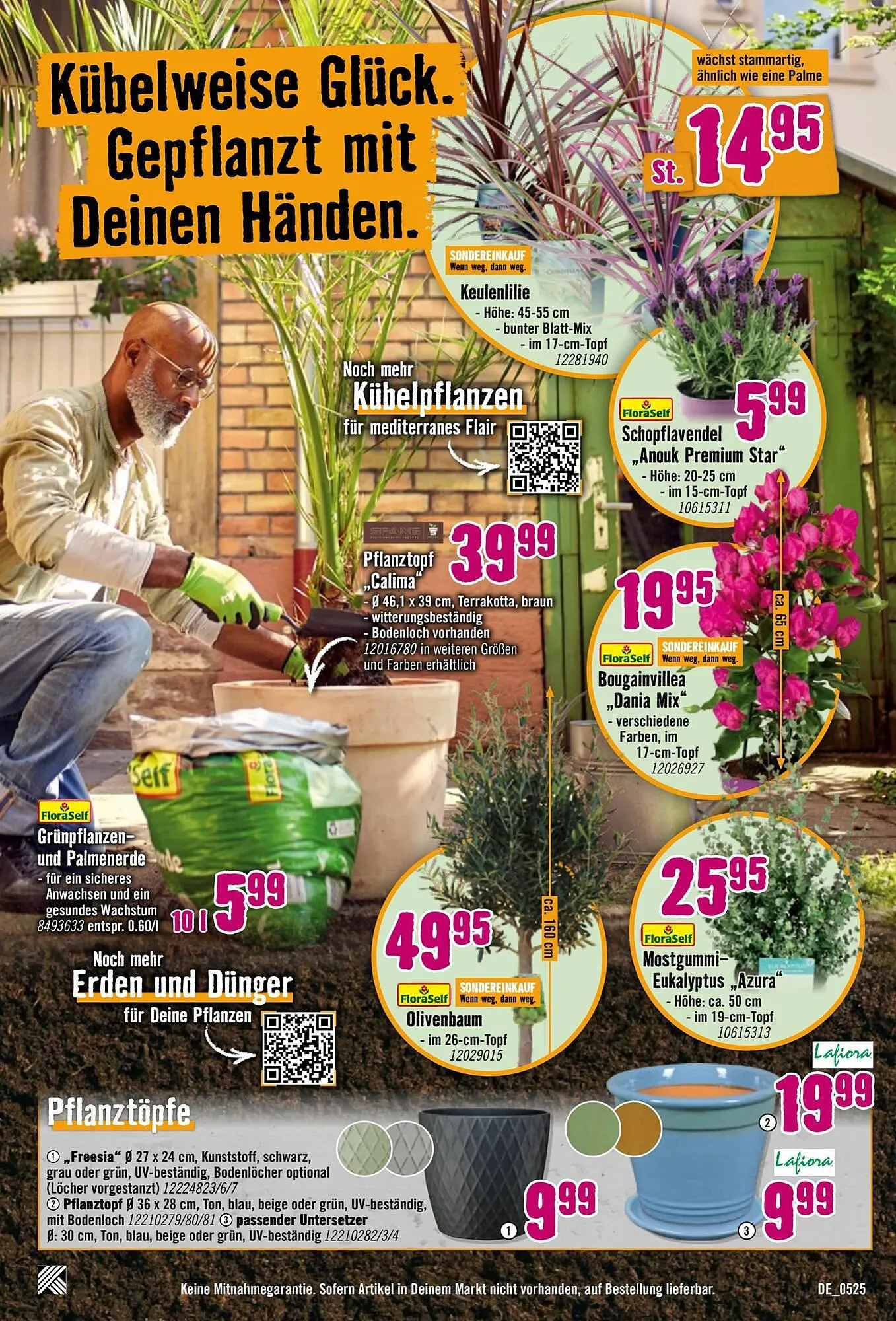 Hornbach Prospekt von 7. Mai bis 4. Juni 2025 - Prospekt seite 11