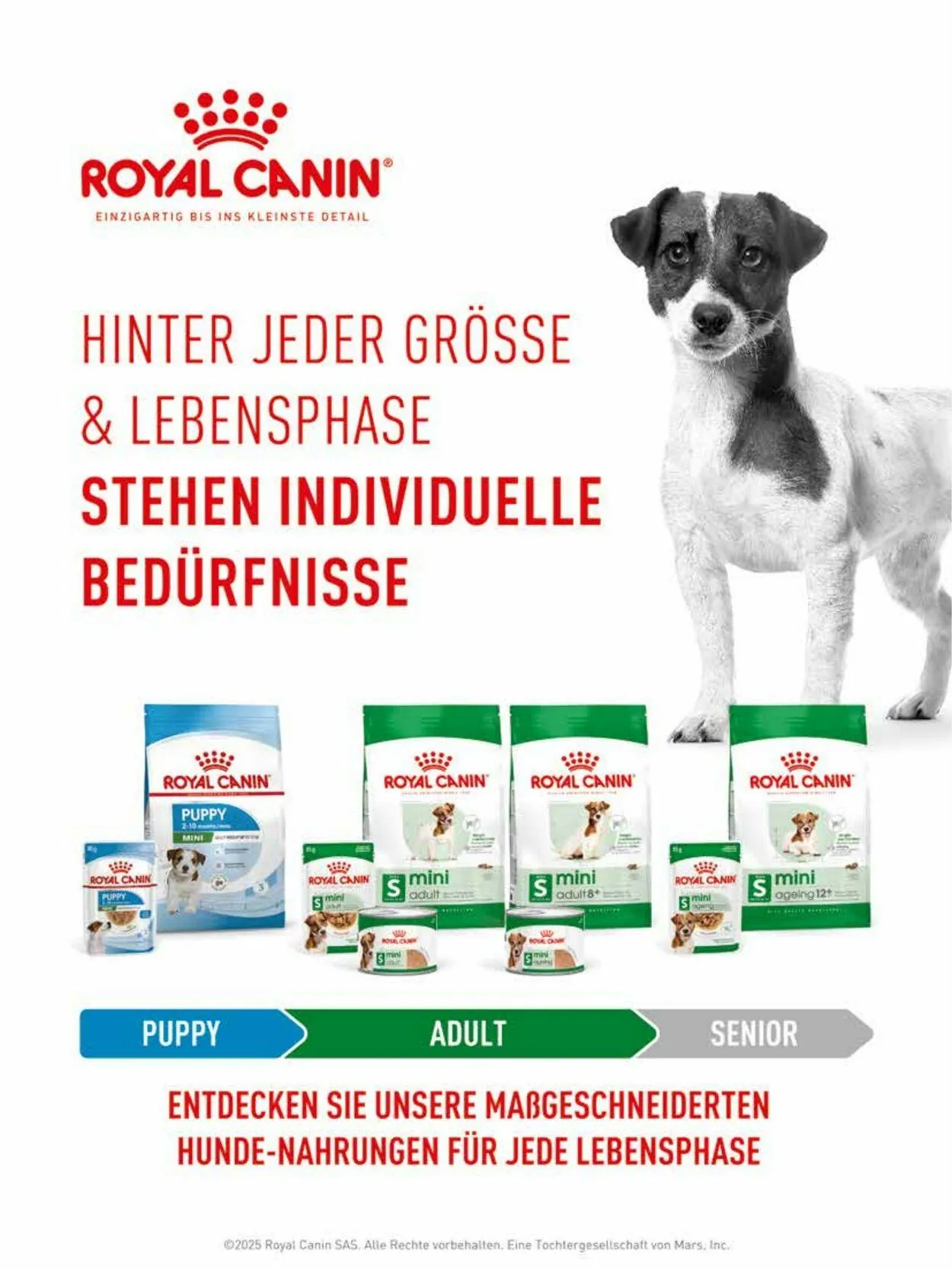 Futterhaus Aktueller Prospekt von 1. Dezember bis 31. Dezember 2025 - Prospekt seite 21