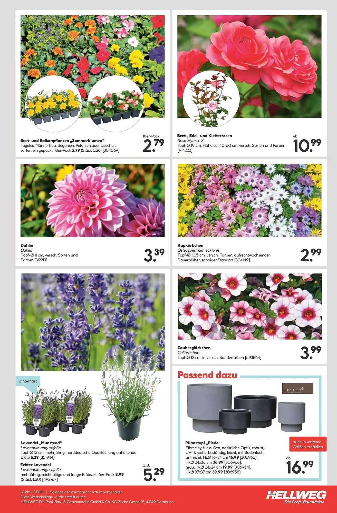 Hellweg Prospekt von 14. April bis 20. April 2025 - Prospekt seite 23