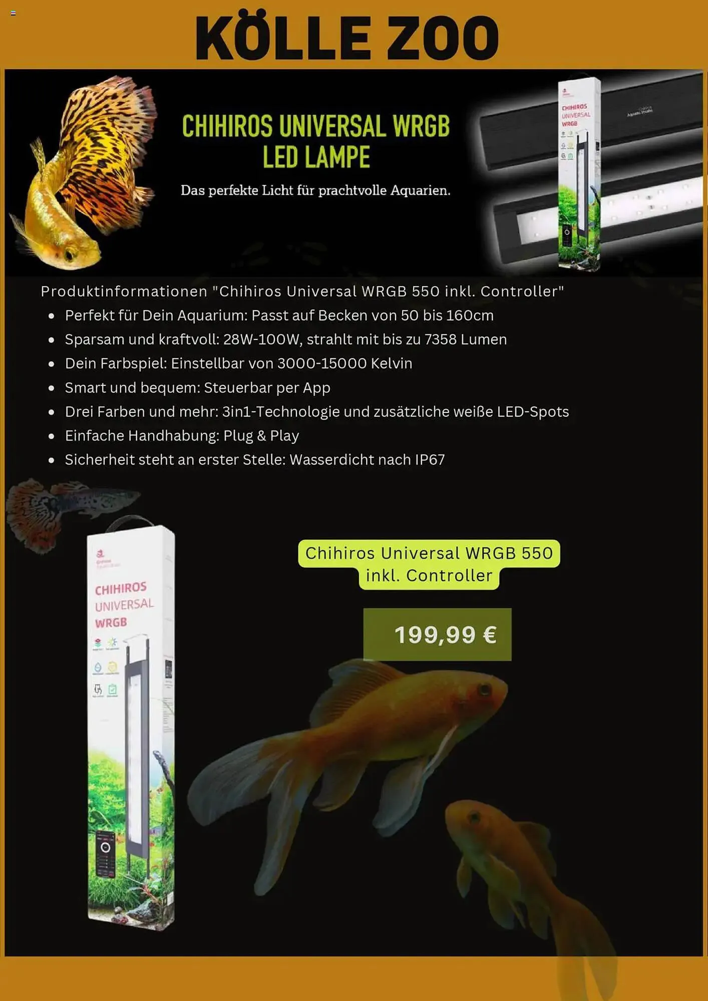 Kölle Zoo Prospekt von 7. August bis 8. September 2025 - Prospekt seite 12