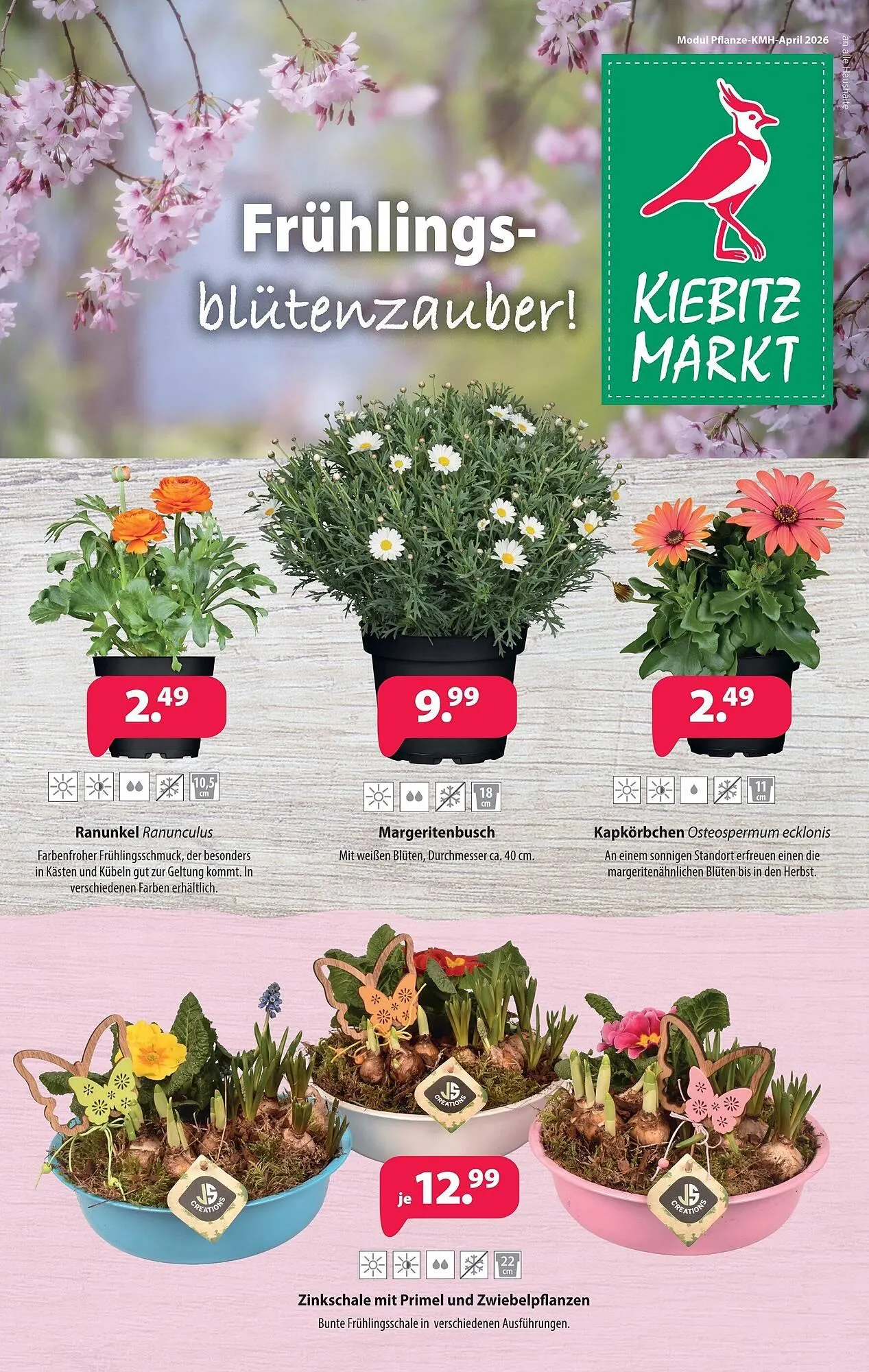 Kiebitzmarkt Prospekt von 4. April bis 11. April 2026 - Prospekt seite 5
