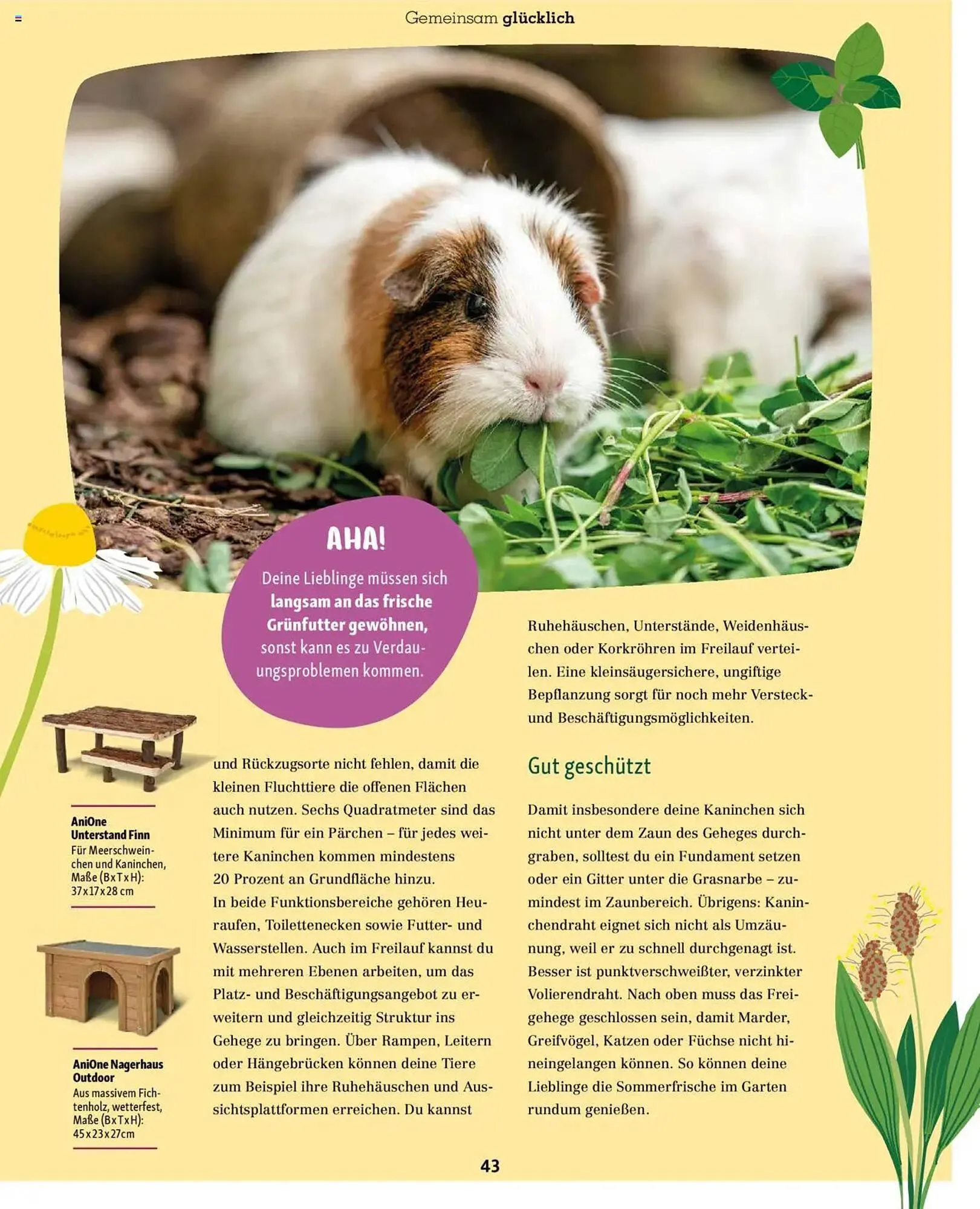 Fressnapf Prospekt von 1. Mai bis 30. Juni 2025 - Prospekt seite 43