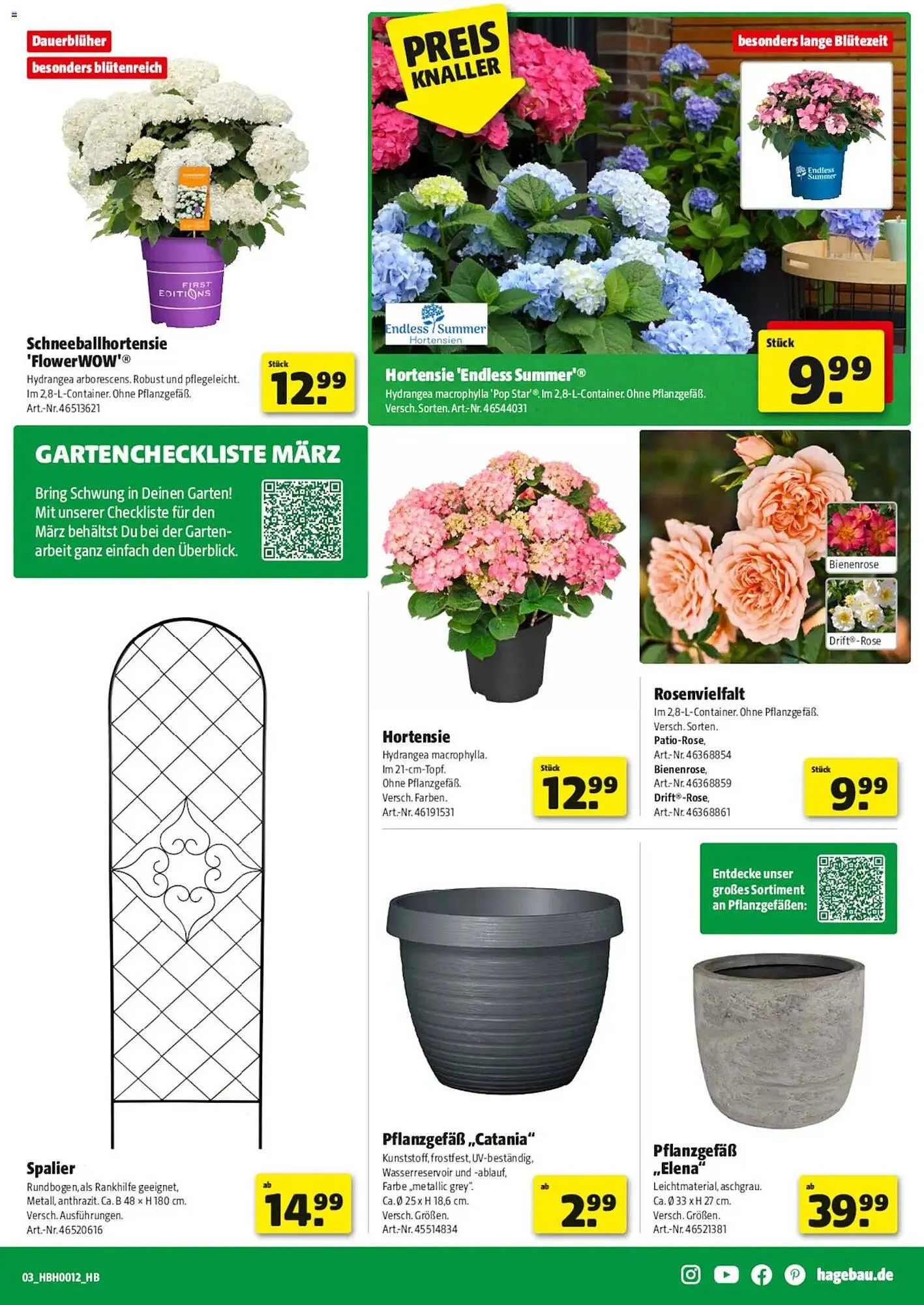 Hagebau Prospekt von 14. März bis 21. März 2026 - Prospekt seite 3