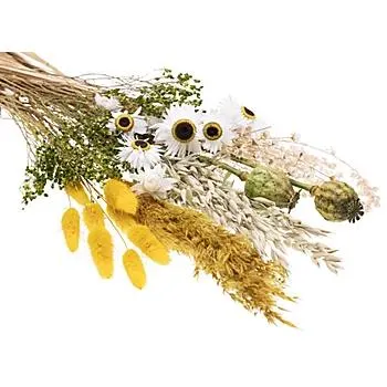 Trockenblumenmix, gelb, grün
