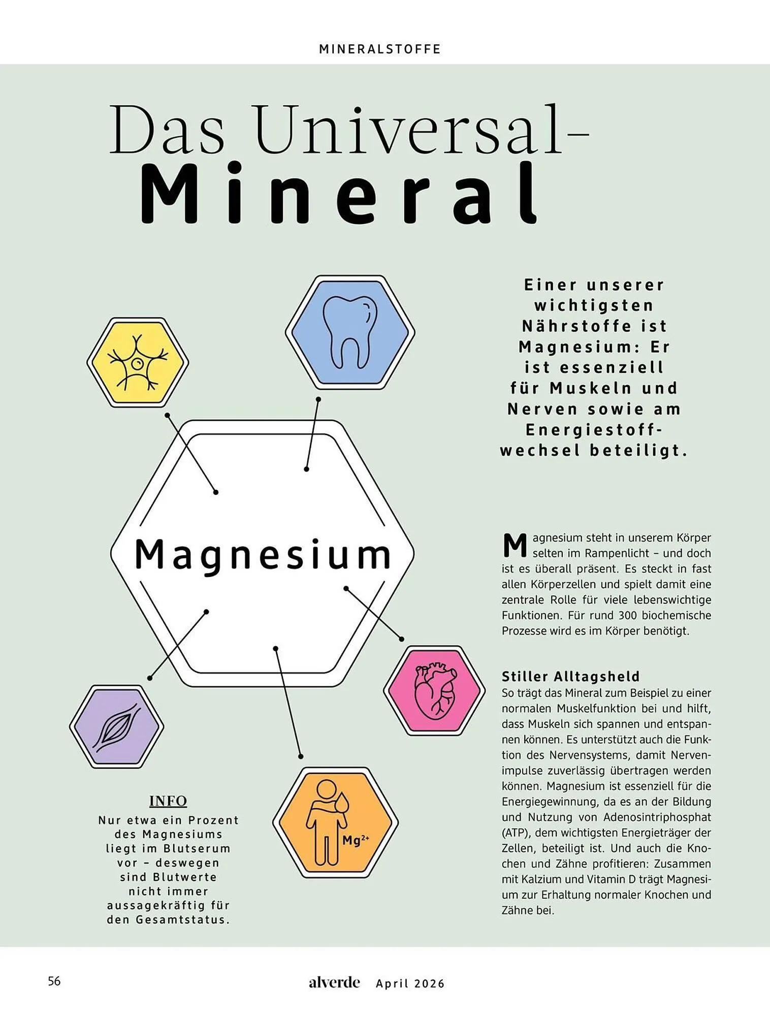 Dm drogerie Magazin von 1. April bis 30. April 2026 - Prospekt seite 56