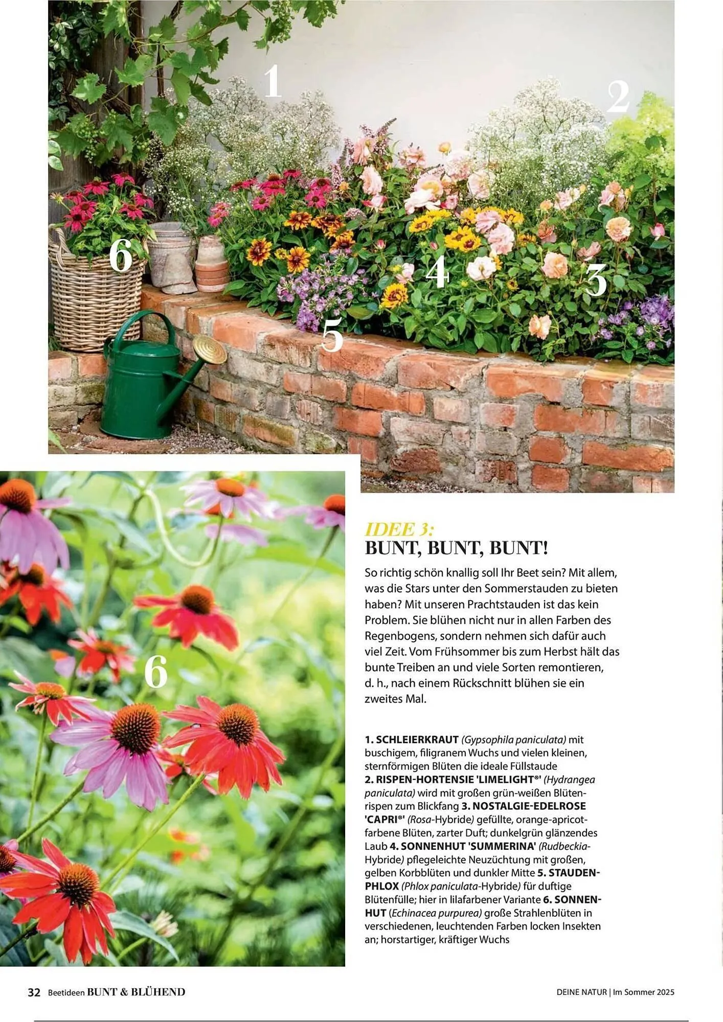 Dehner Prospekt von 1. Juli bis 31. Dezember 2025 - Prospekt seite 32