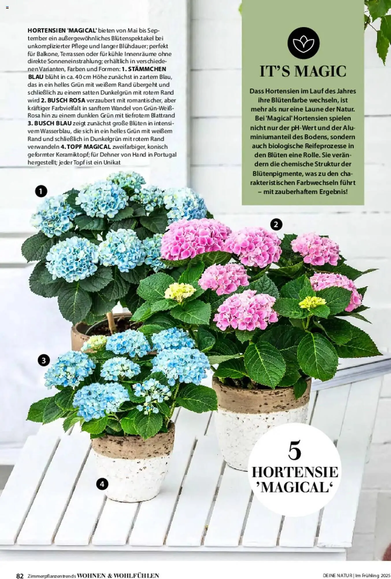 Dehner Prospekt von 6. März bis 9. Juni 2025 - Prospekt seite 82
