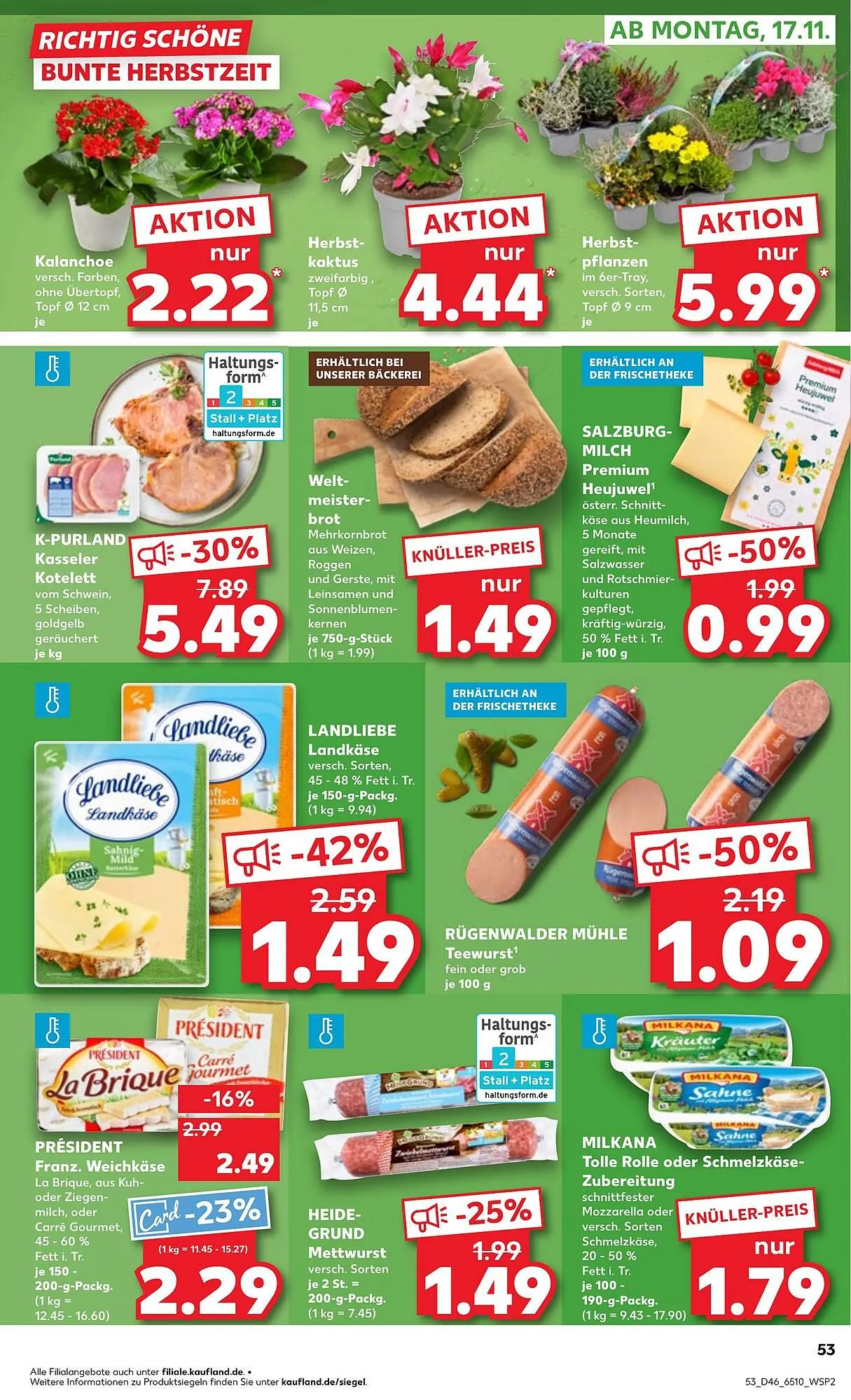 Kaufland Prospekt von 13. November bis 19. November 2025 - Prospekt seite 53