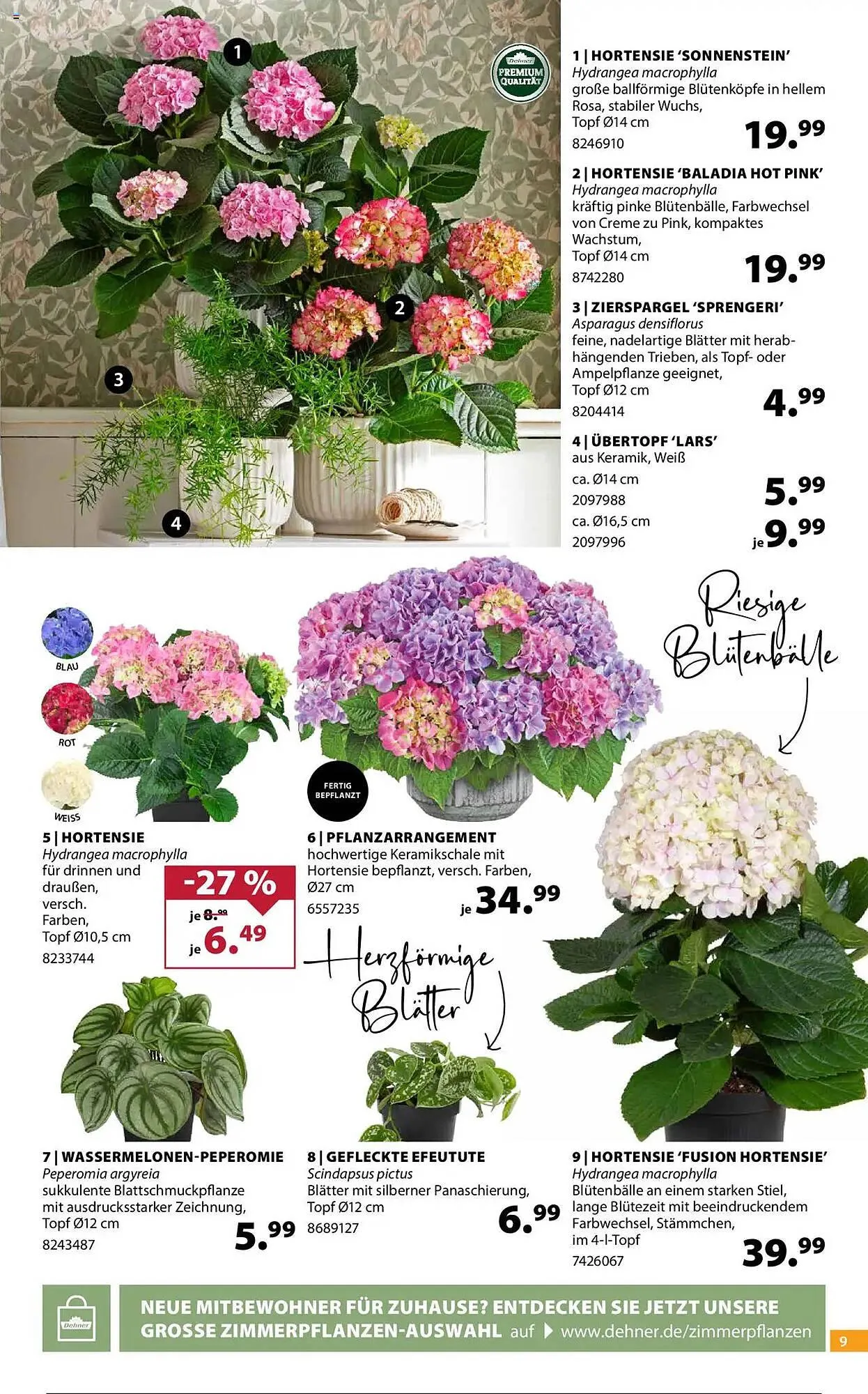 Dehner Prospekt von 14. Mai bis 19. Mai 2025 - Prospekt seite 9