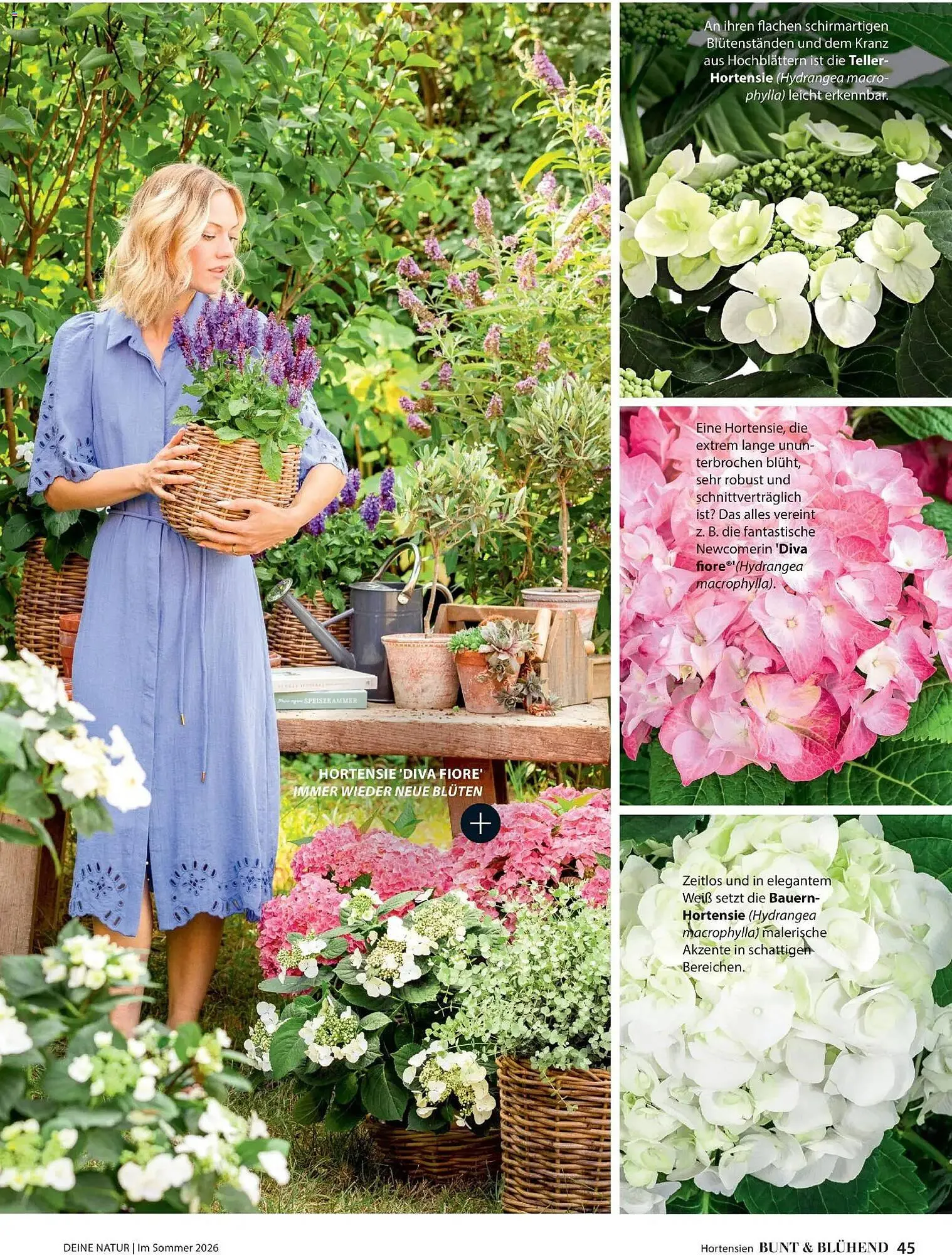Dehner Prospekt von 17. April bis 31. August 2026 - Prospekt seite 45