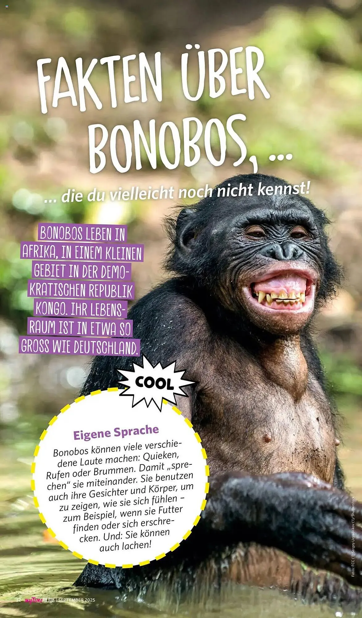 Combi Prospekt von 1. September bis 30. September 2026 - Prospekt seite 108