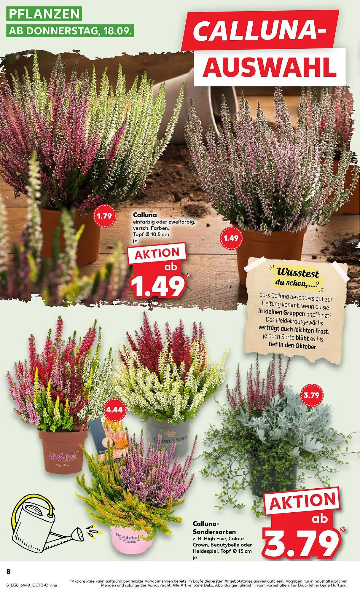 Kaufland Prospekt von 21. September bis 24. September 2025 - Prospekt seite 8