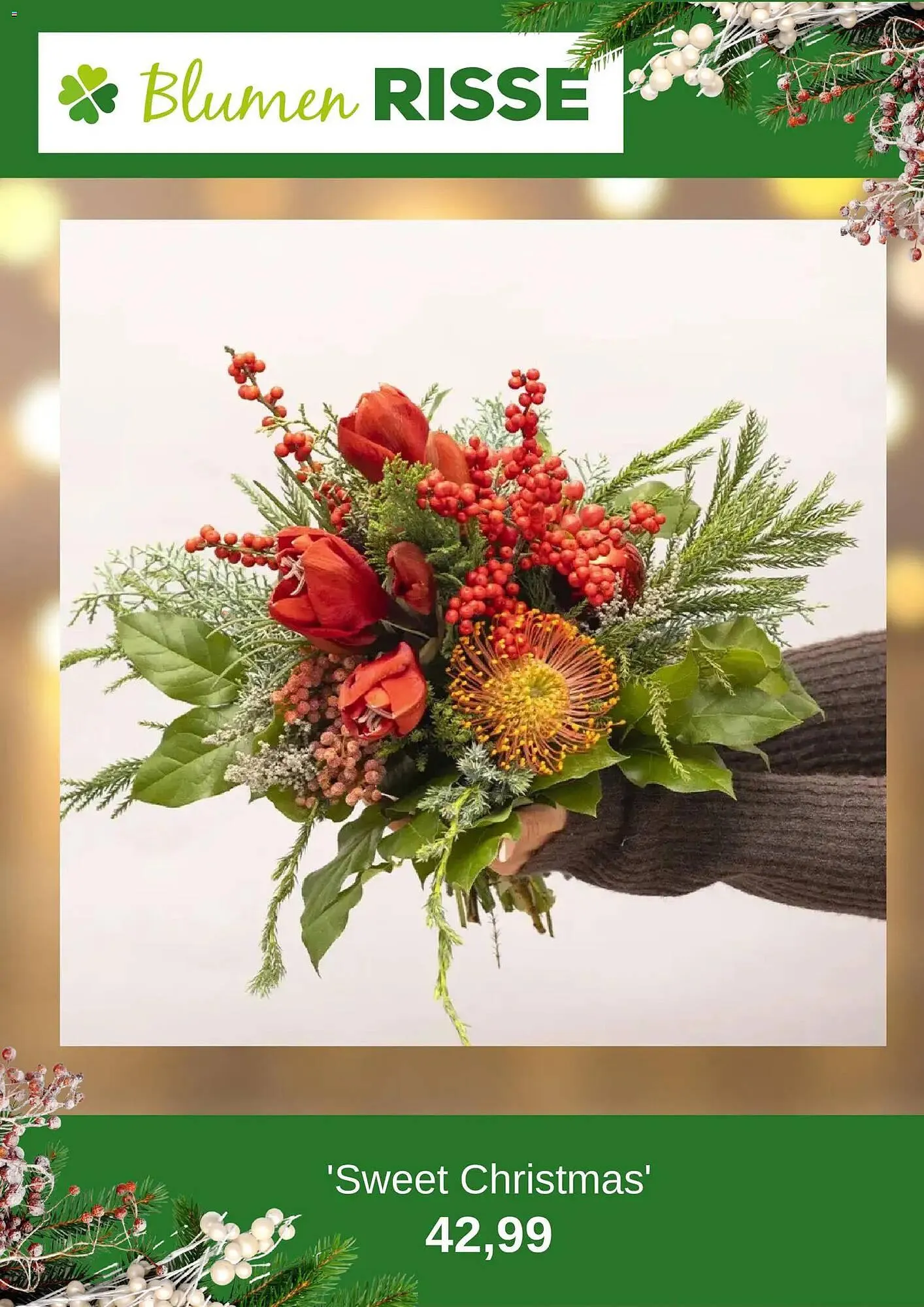 Blumen Risse Prospekt von 24. November bis 23. Dezember 2025 - Prospekt seite 9