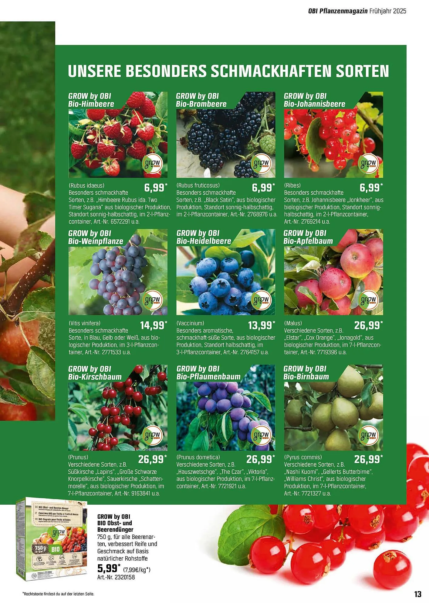 OBI Prospekt von 6. April bis 24. April 2025 - Prospekt seite 13