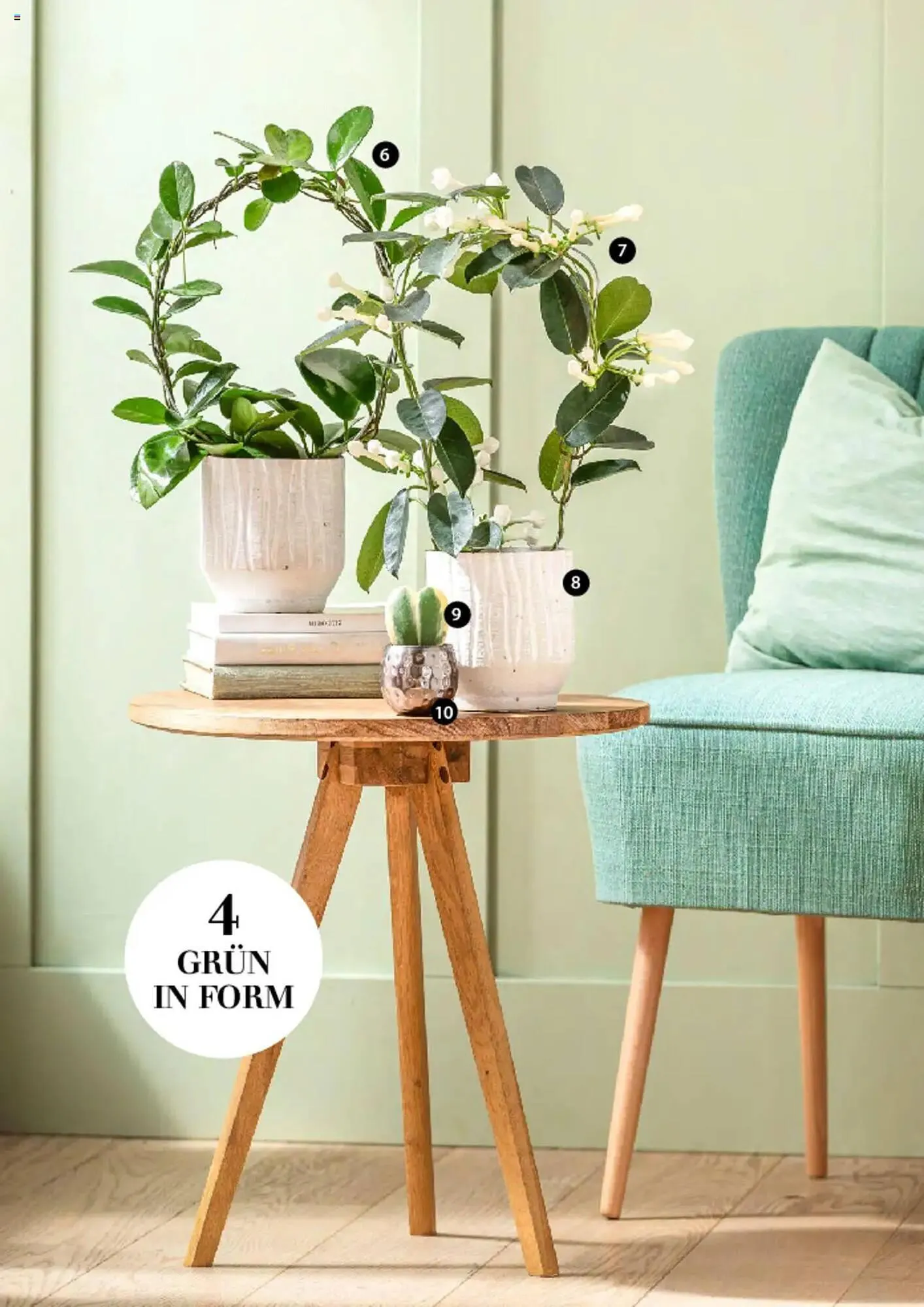 Dehner Prospekt von 6. März bis 9. Juni 2025 - Prospekt seite 81