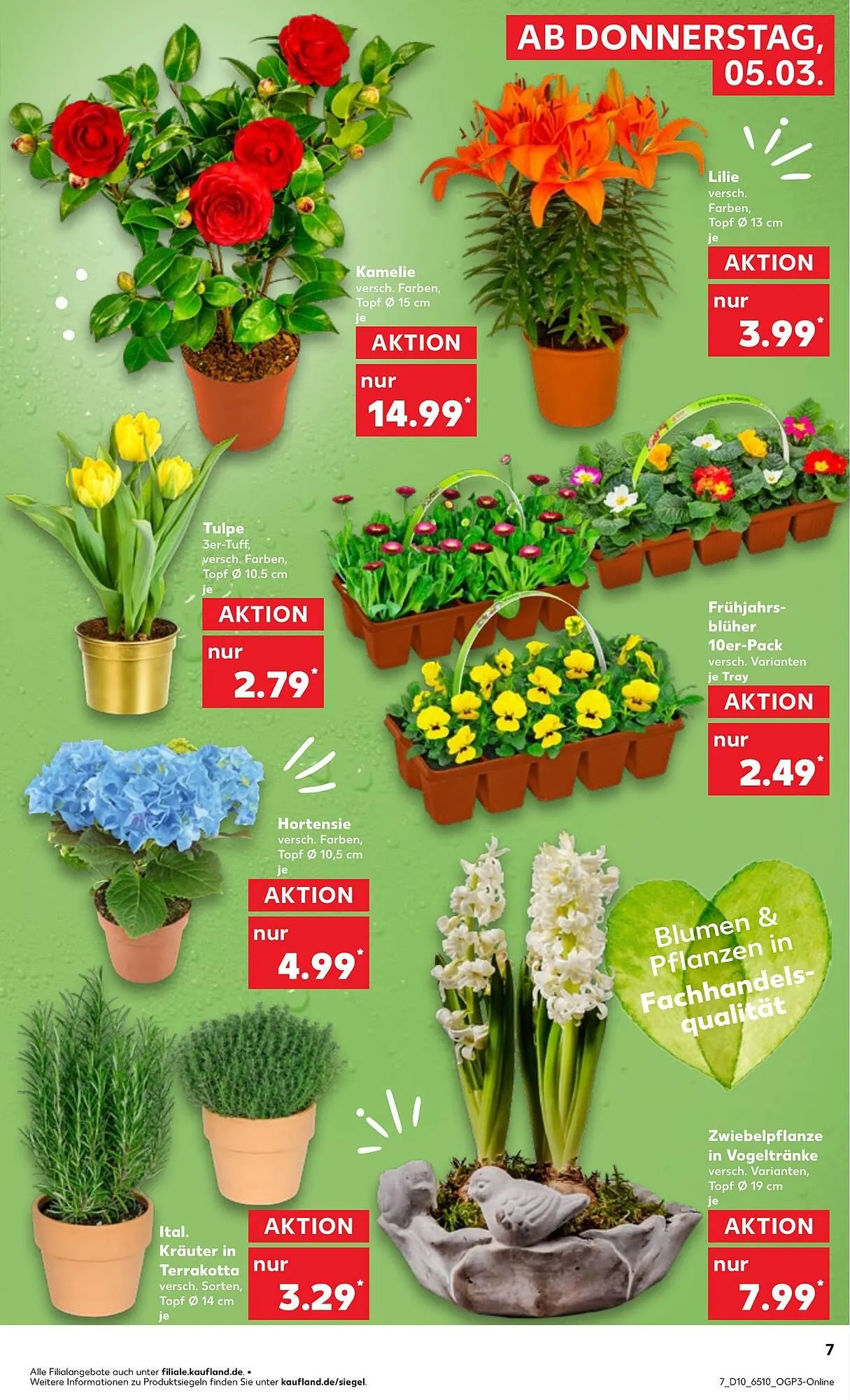 Kaufland Prospekt von 4. März bis 10. März 2026 - Prospekt seite 7