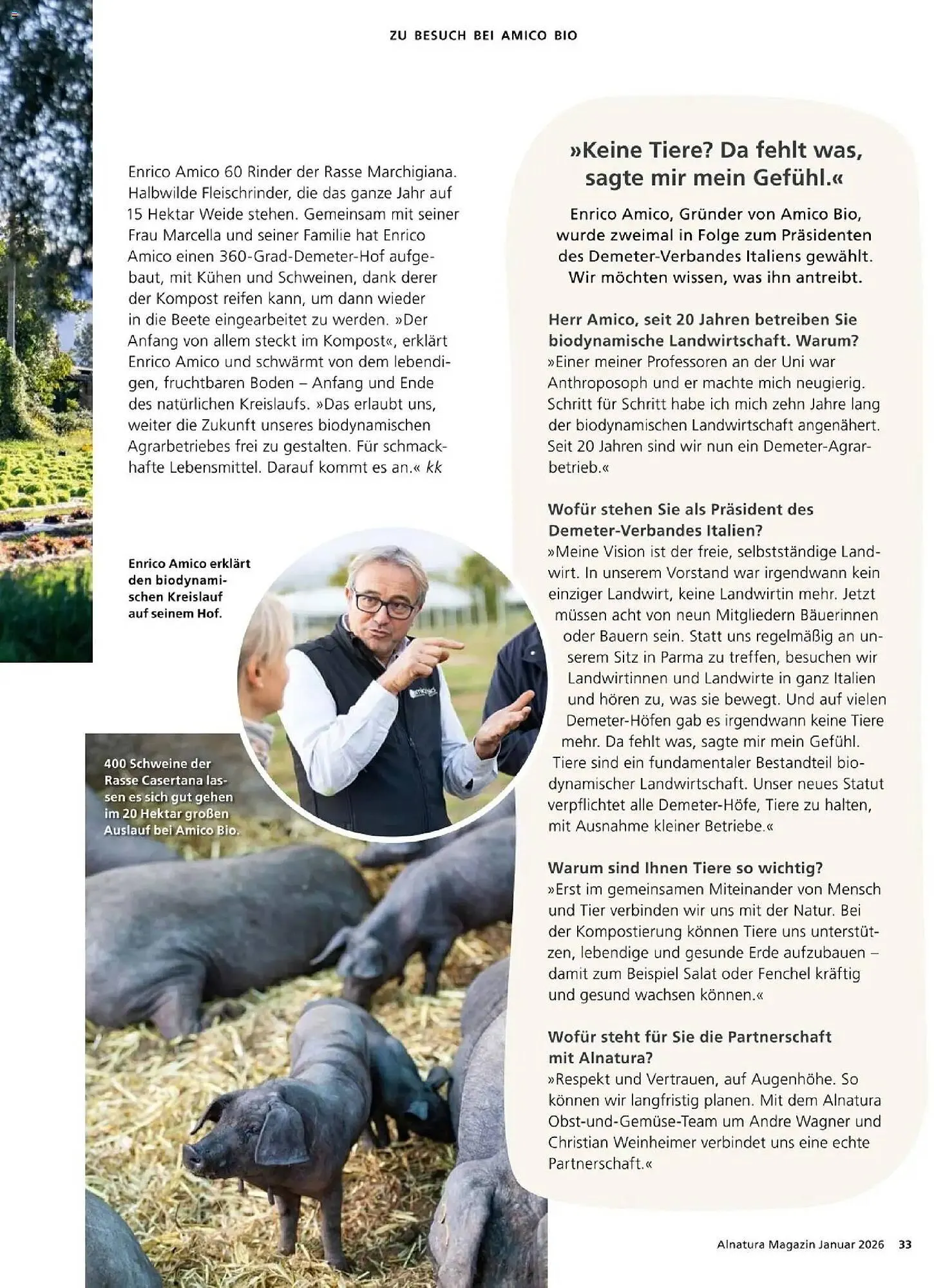 Alnatura Prospekt von 1. Januar bis 31. Januar 2026 - Prospekt seite 33